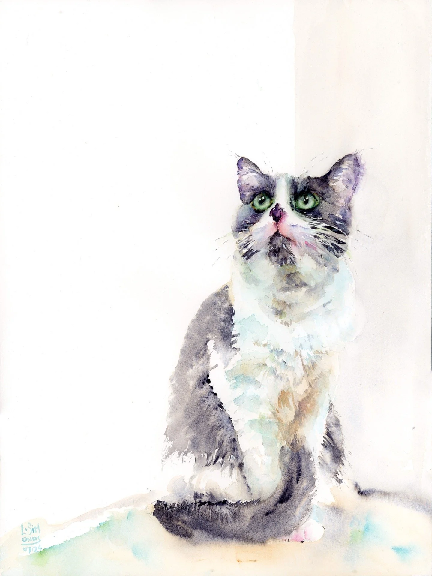   Hibiki  , 12x16, 2024