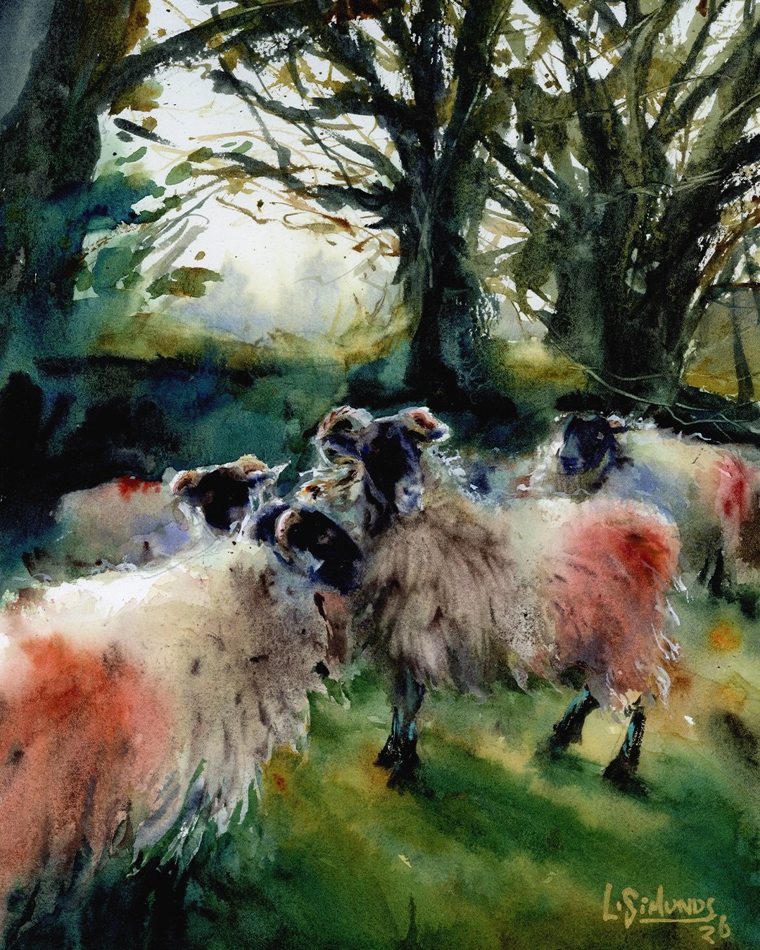 &ldquo;The Ones He Loves&rdquo; - In England, especially, I get a feeling that these sheep get a lot of freedom to roam the moorlands I&rsquo;m familiar with, and the main way to identify your own flock is through marking their wool with spray paint.