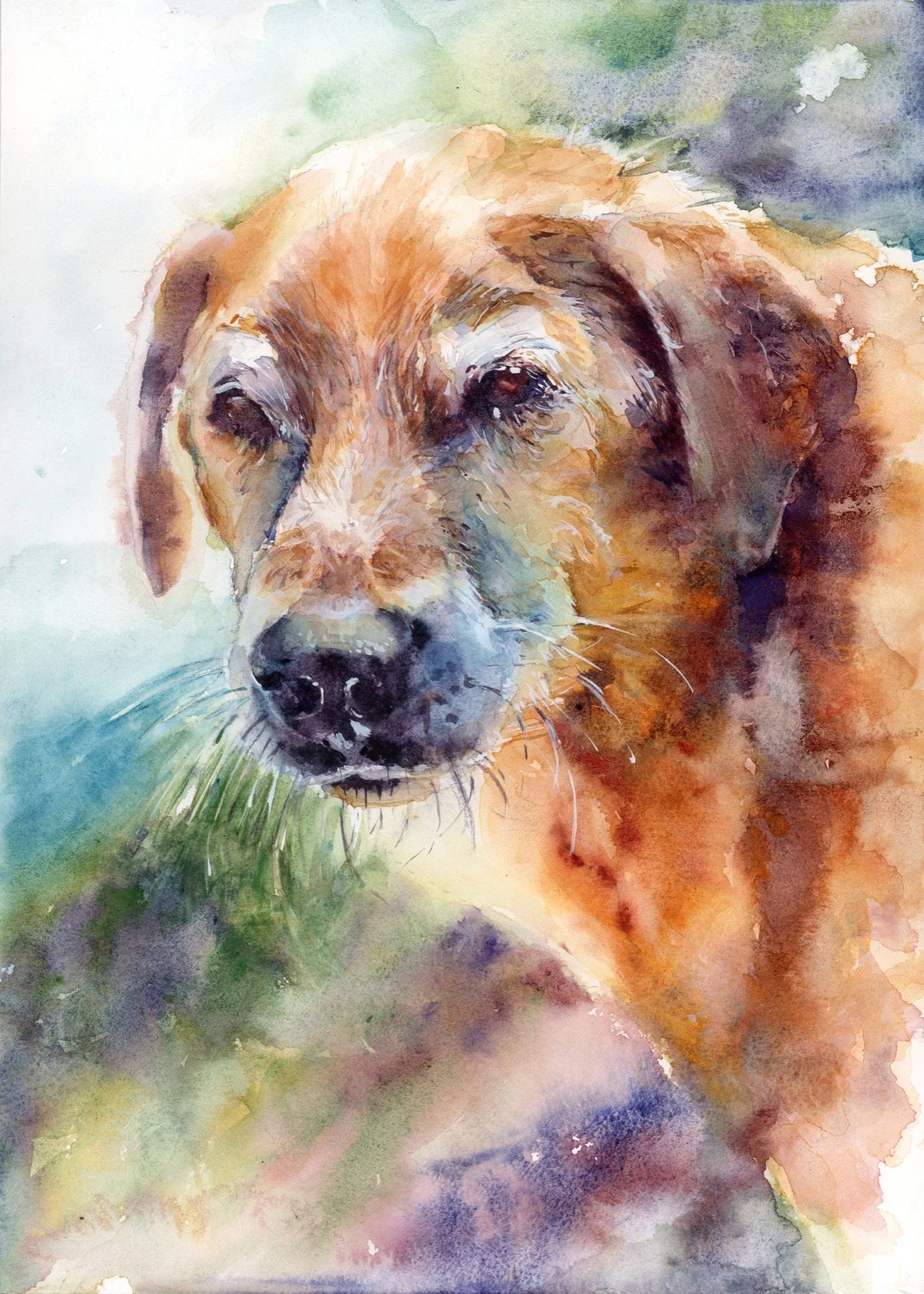   Charlie  , 10x14, 2023