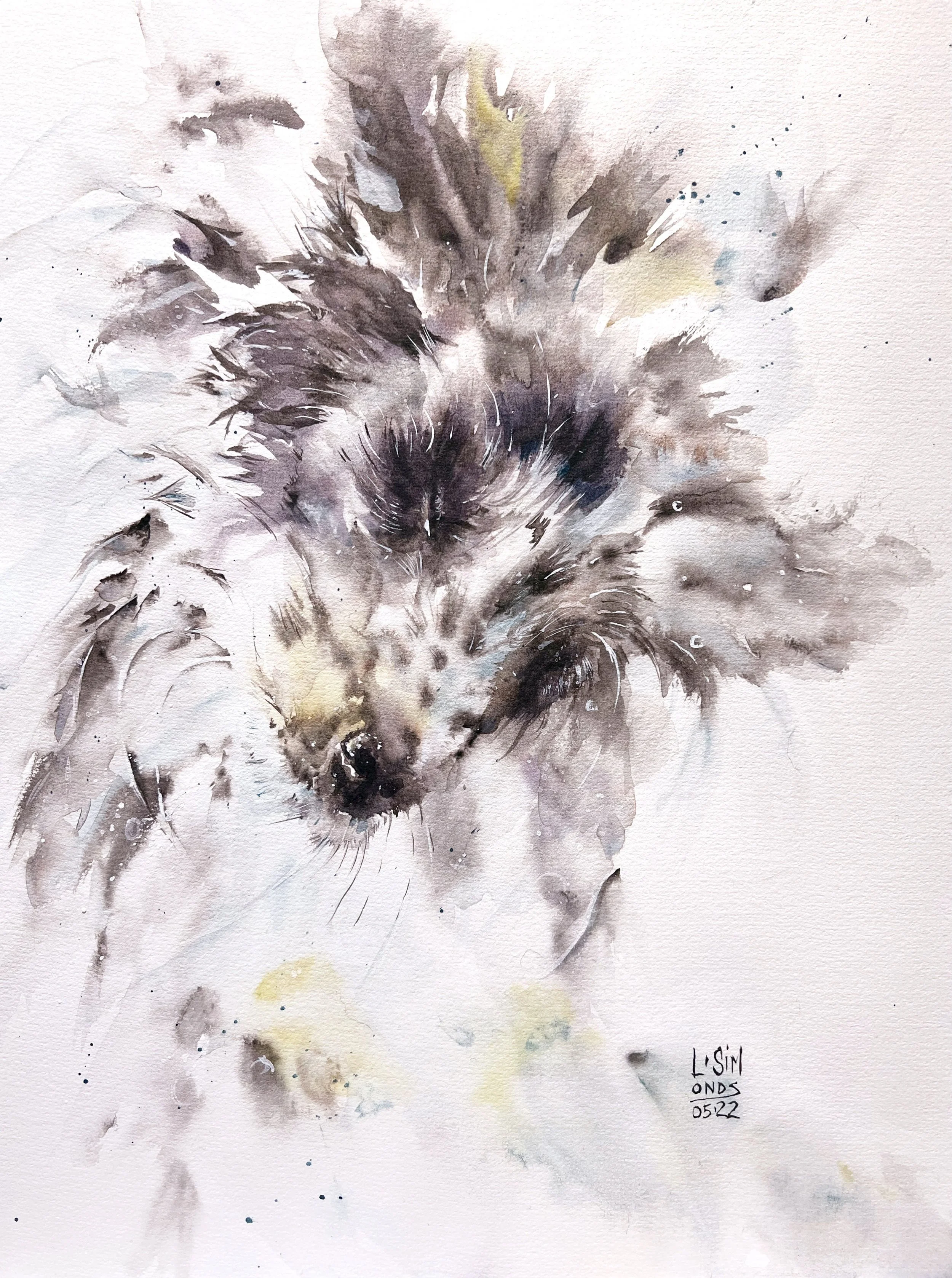   Shake  , 12x16, 2022