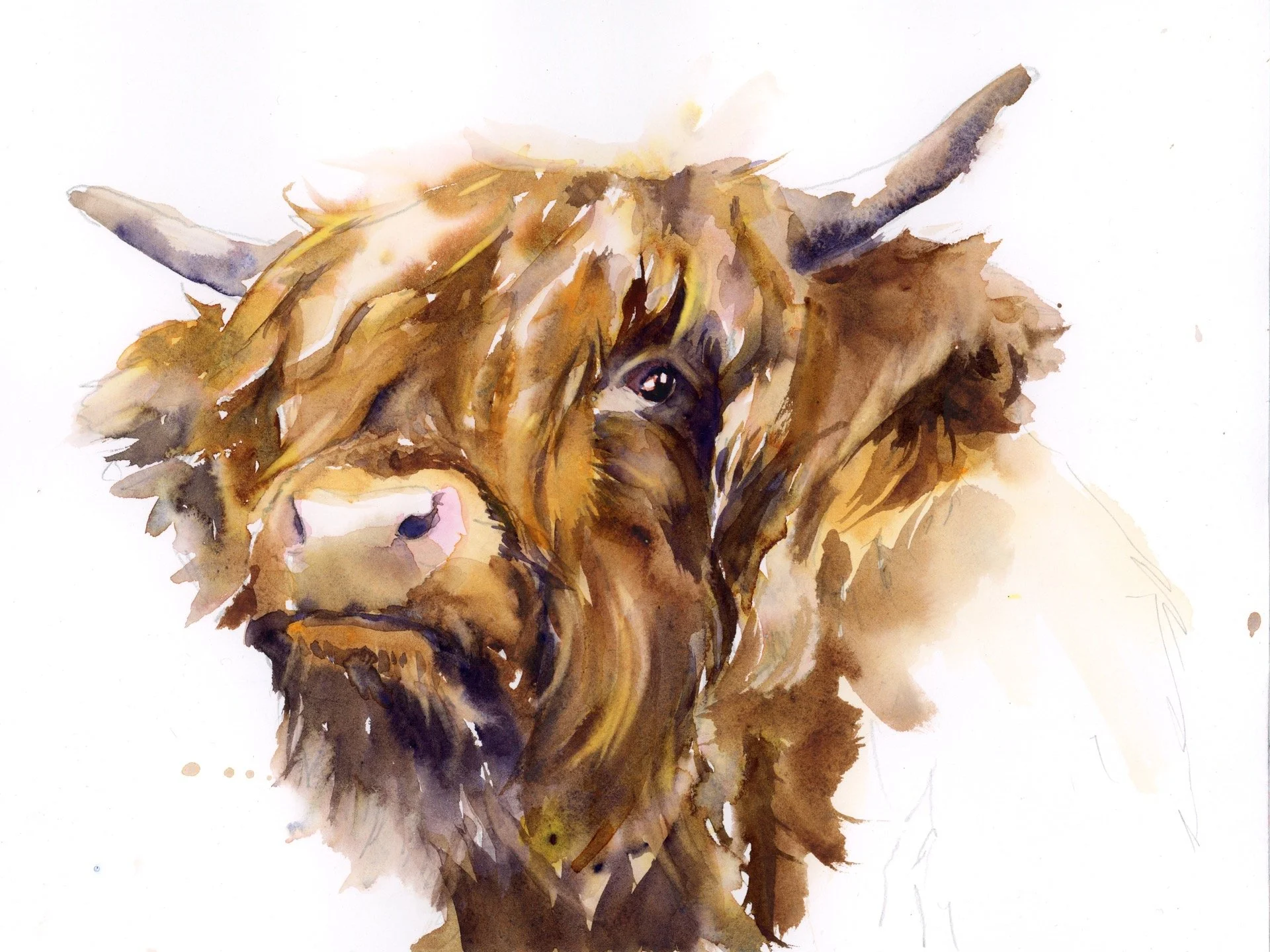   Highlander  , 12x19, 2022  SOLD  🔴