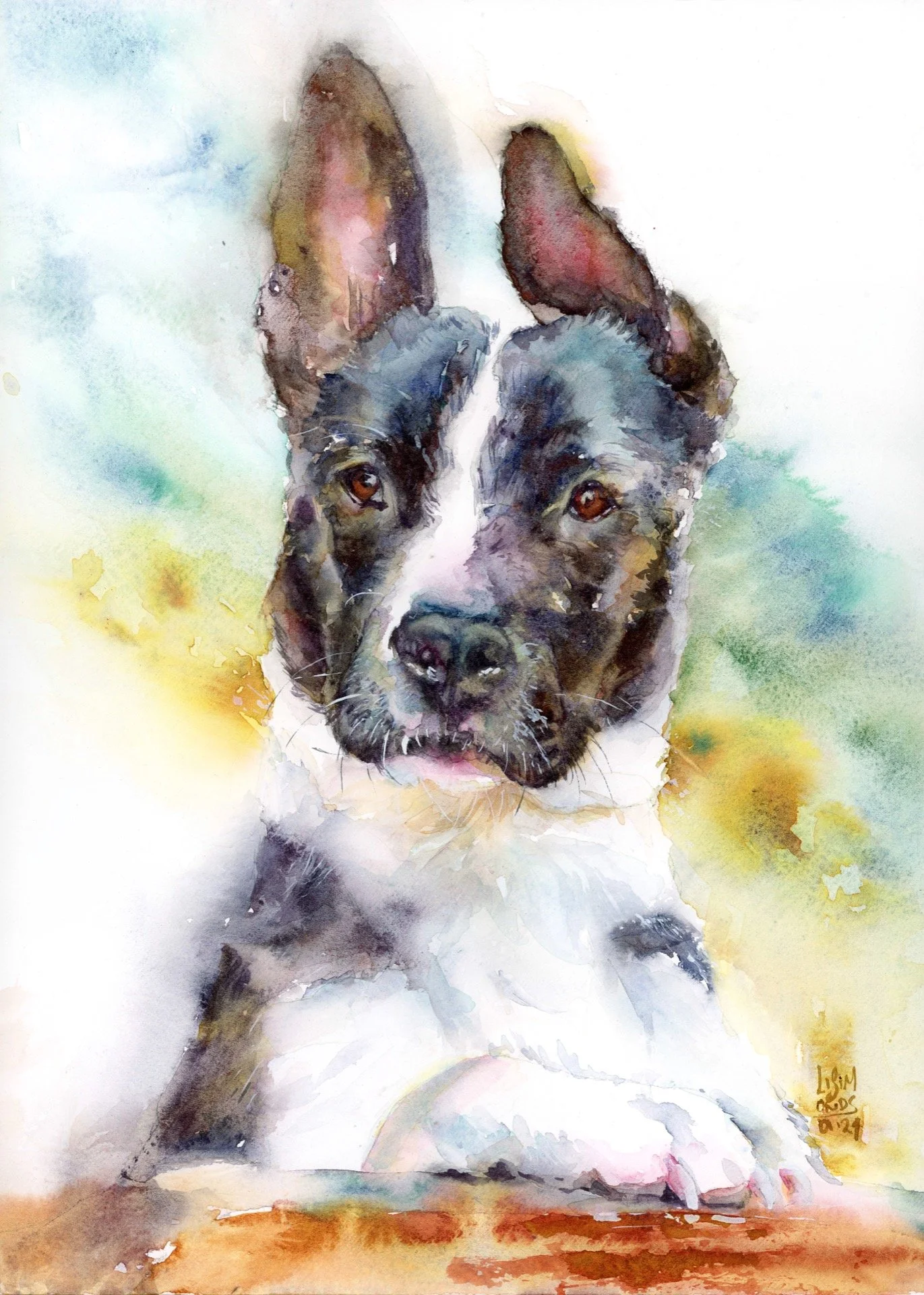   Levi  , 12x16, 2023