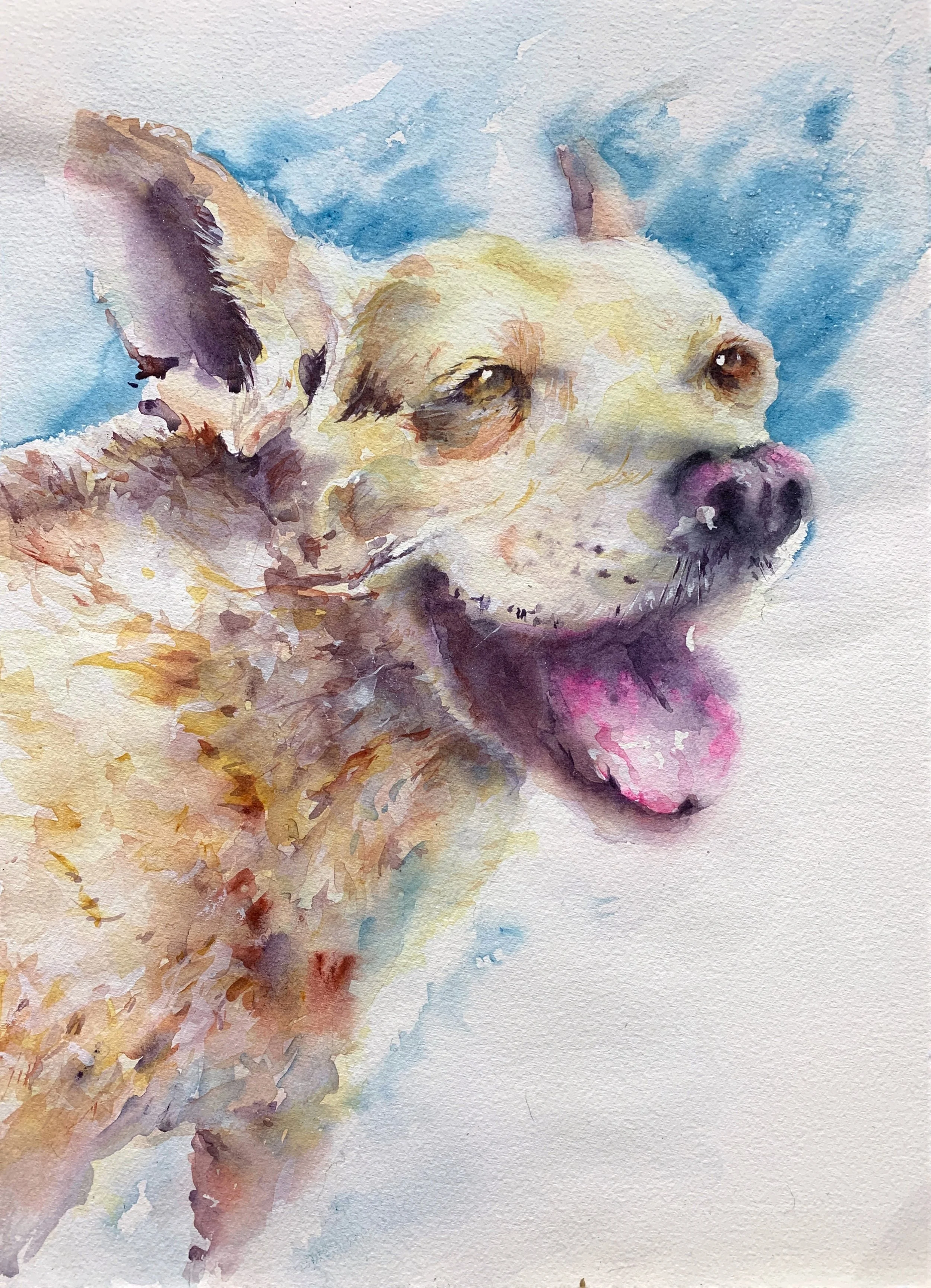   Layla  , 12x16, 2022