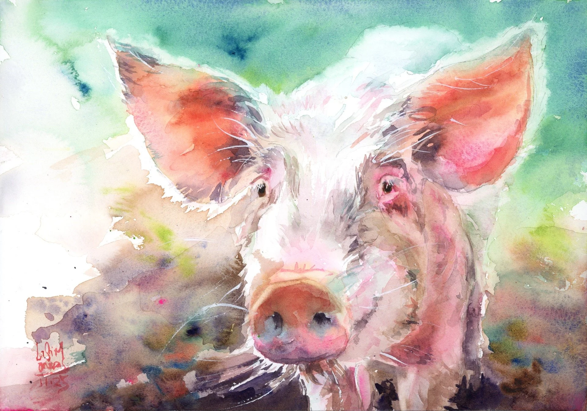 Animals & Creatures