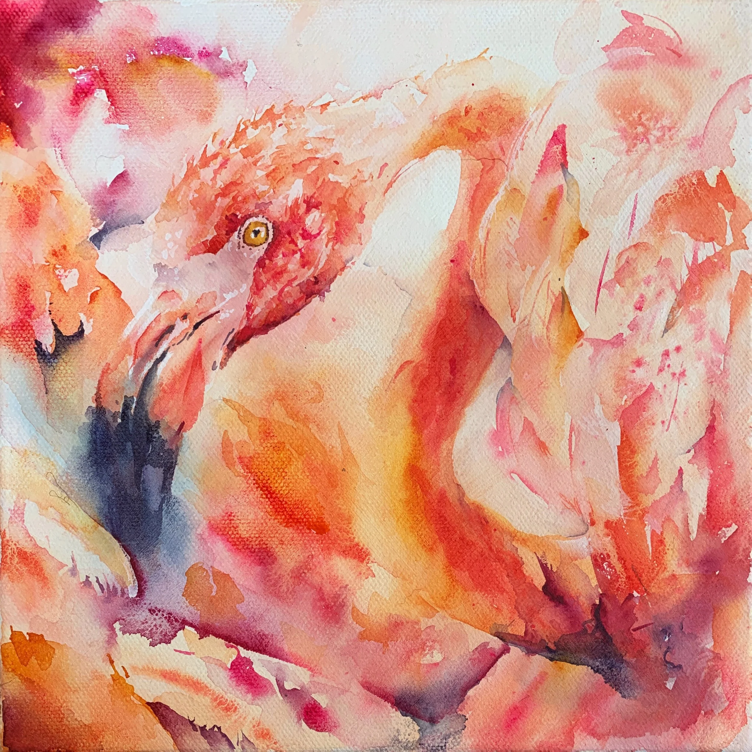   Raptor in Plume  , 9x8, 2021  SOLD  🔴