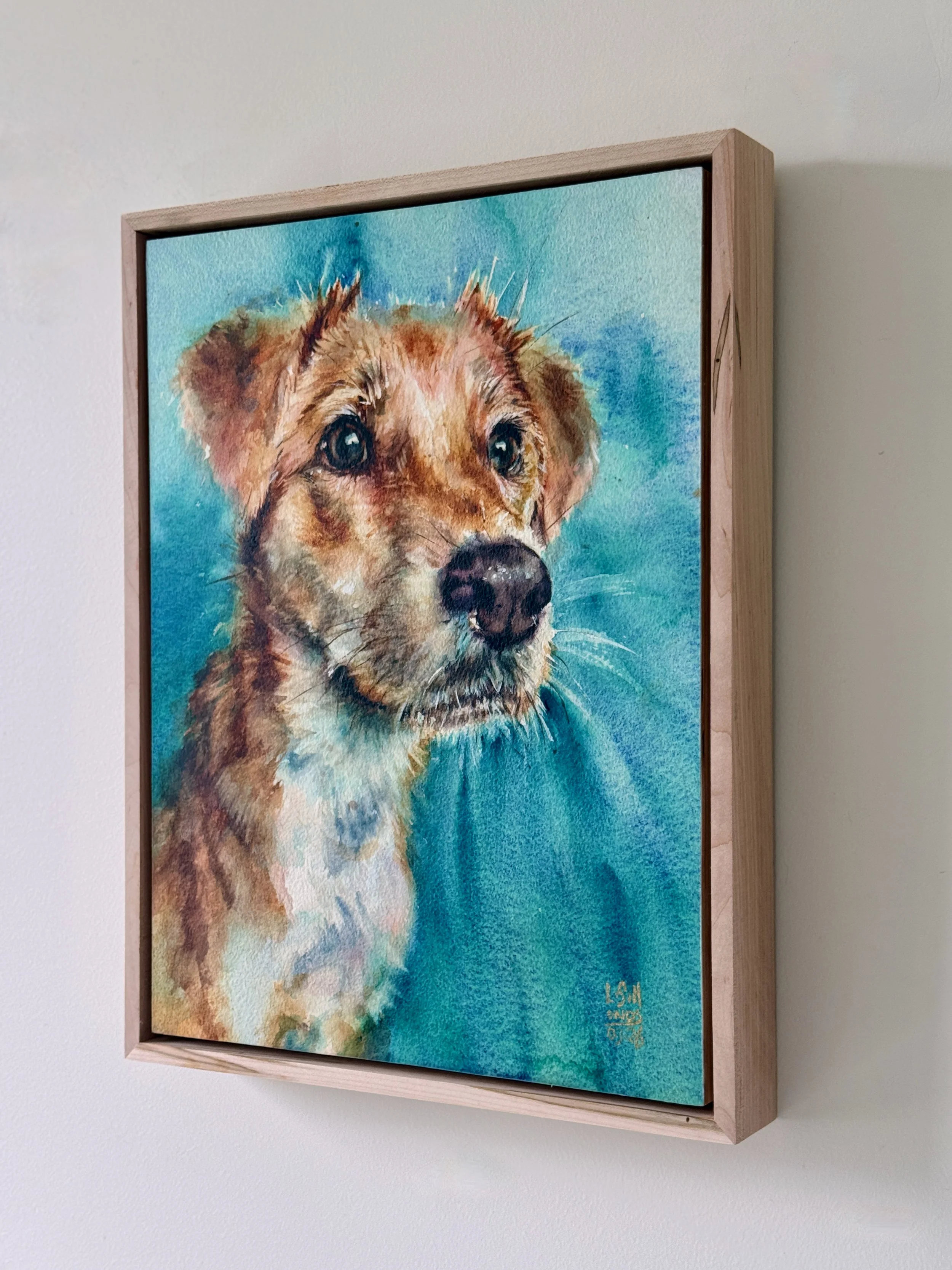 A framed watercolor painting of a dog with brown and black fur, on a blue background, hanging on a white wall.