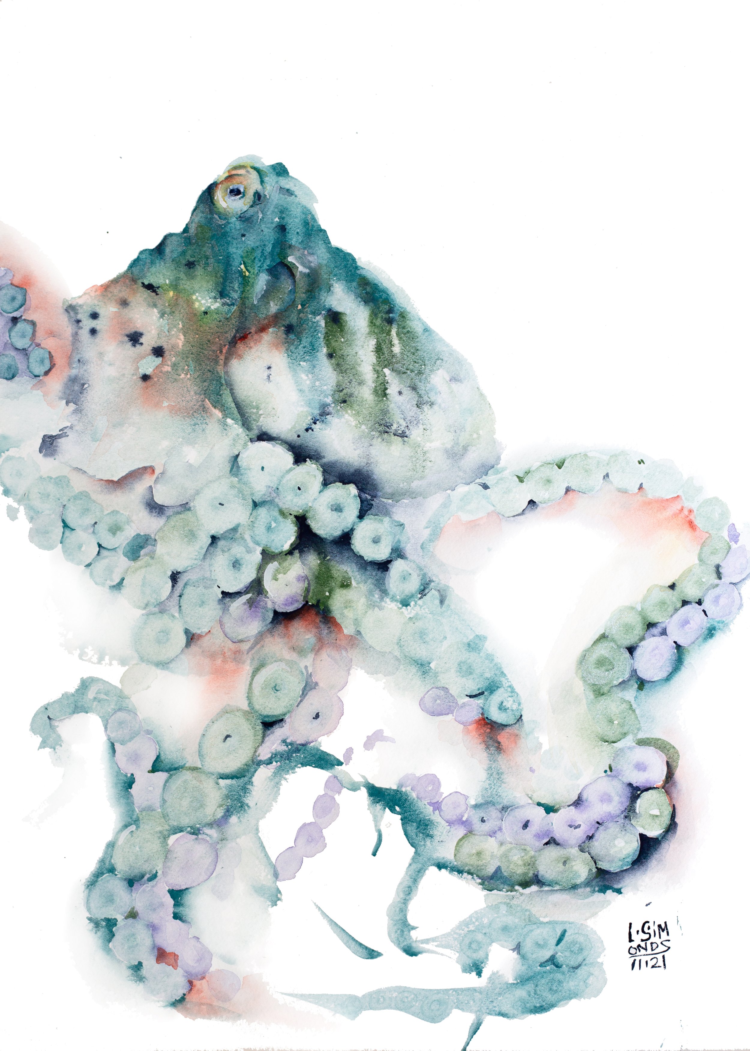   Forgiveness Octopus  , 10x14, 2021  SOLD  🔴