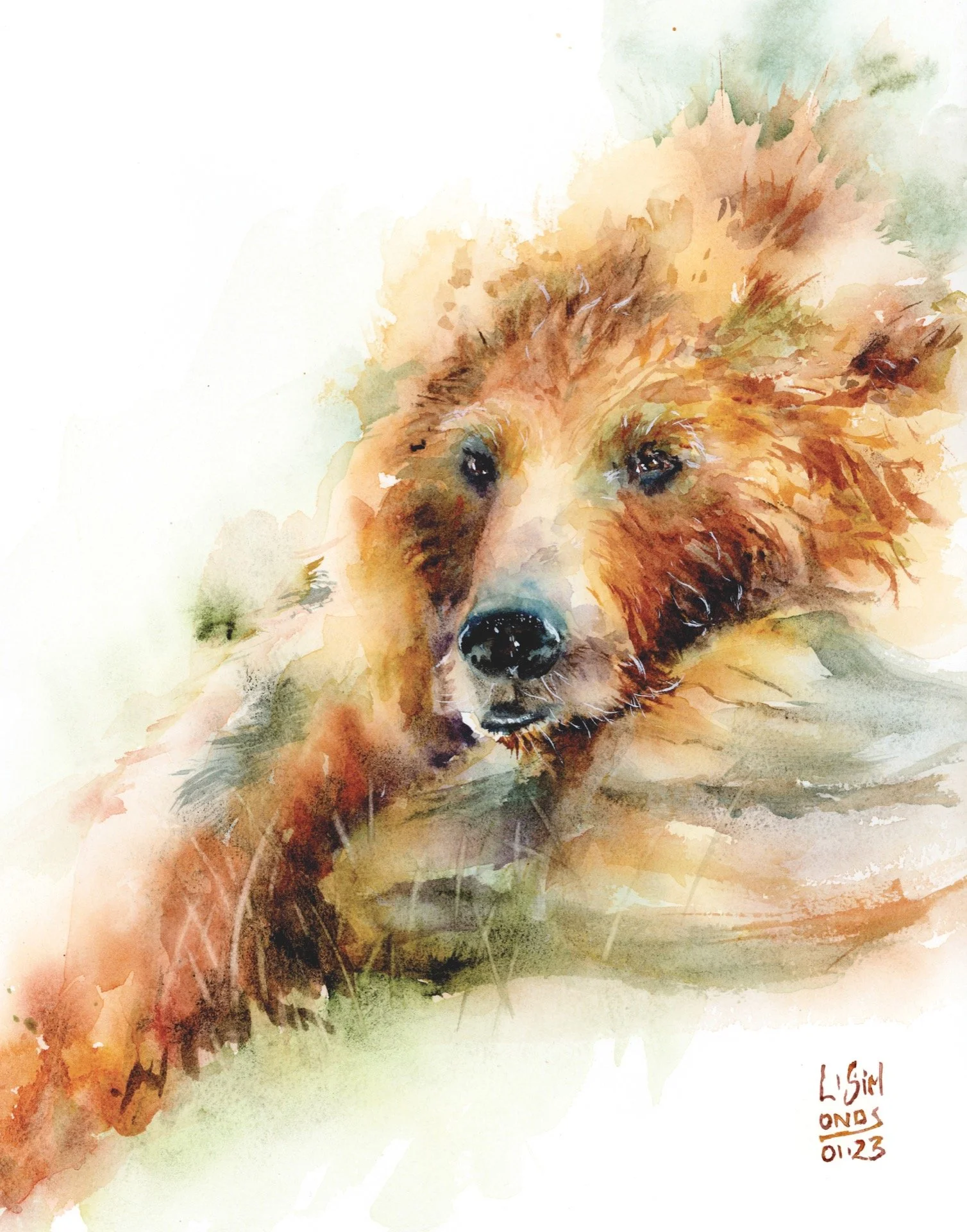   Booped  , 10x14, 2023  Available 