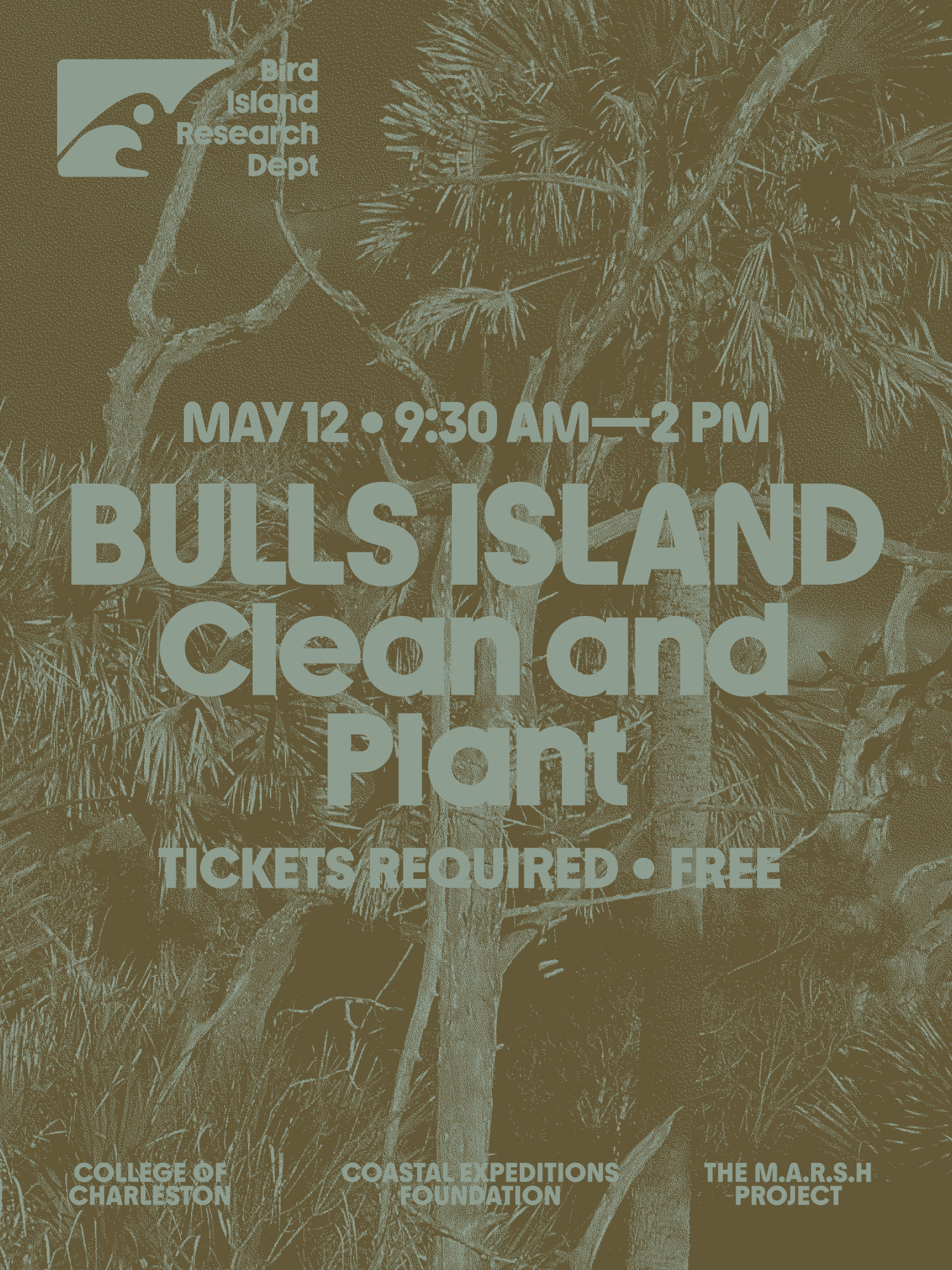 Bulls Island