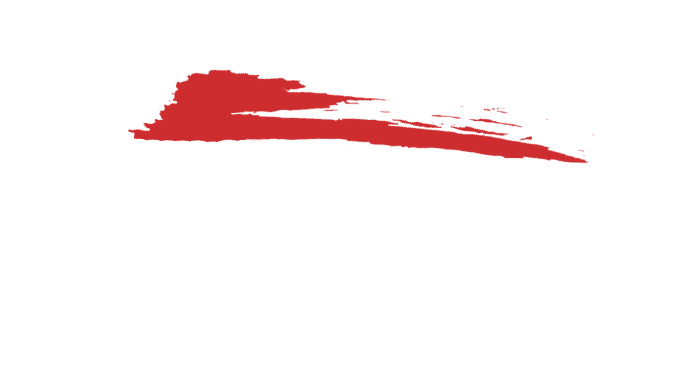 Red and black logo with a stylized brush stroke graphic above the text "Vape Nation" in black capital letters.