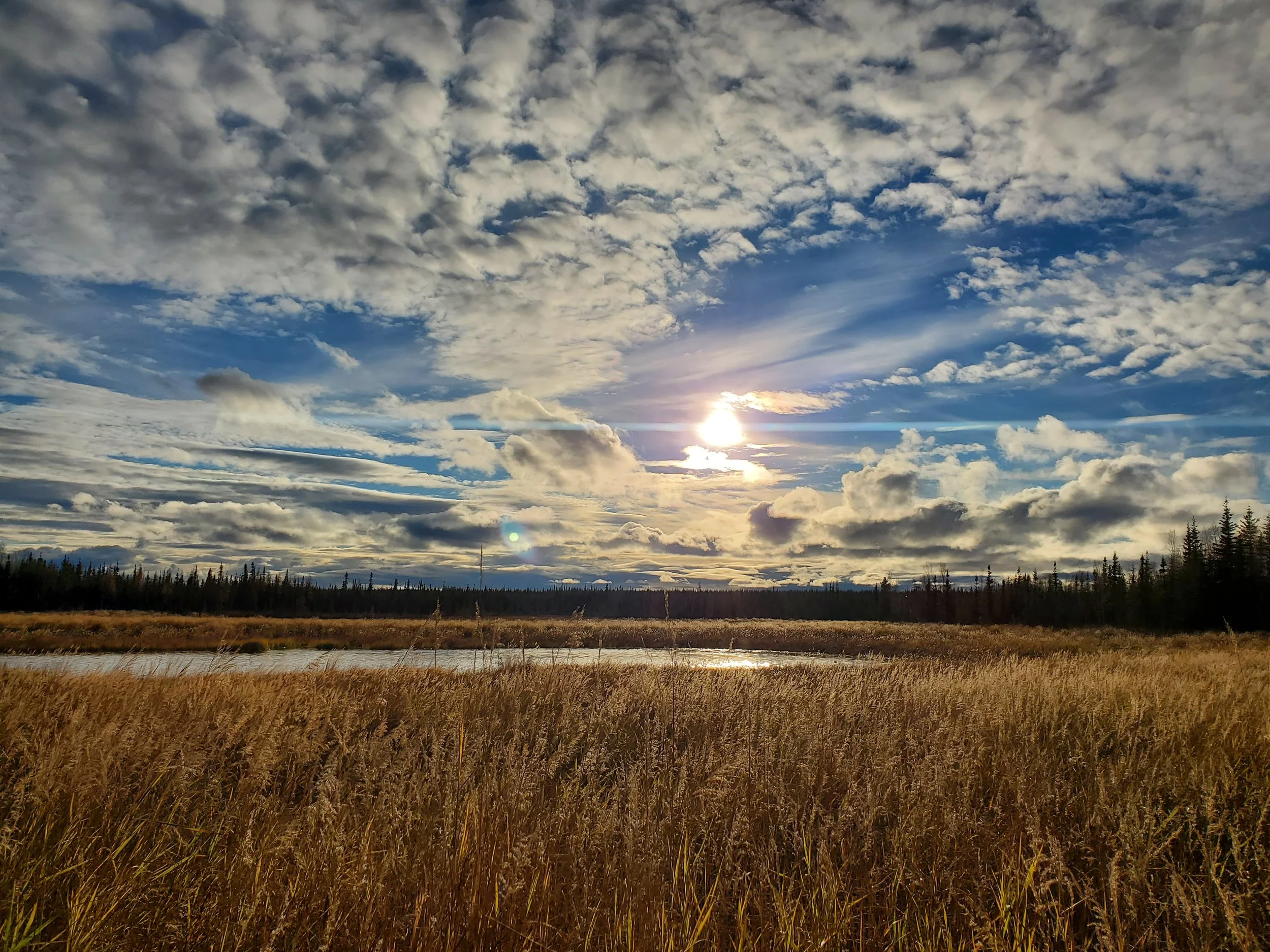 Mental Health Telehealth Counseling Services depression anxiety Supervision