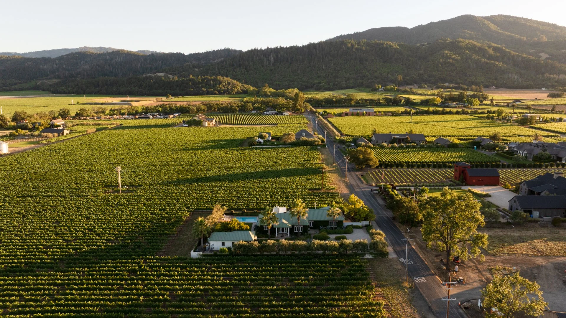 Aerial view of a rural landscape with vineyards, houses, and mountains in the background during sunset.