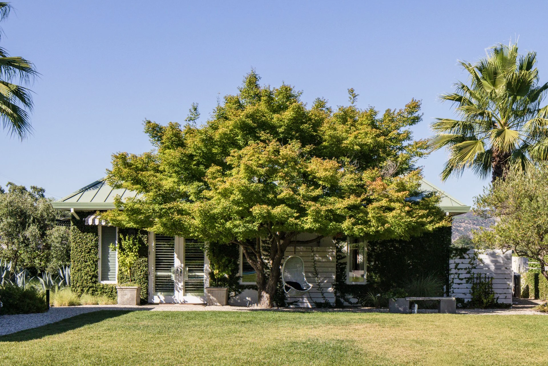 A backyard scene with a lush green lawn, a large tree with light green leaves, and a house with large windows and a glass door. There are various plants along the fence, a solar-powered garden light, and a shaded outdoor seating area under the tree. 
