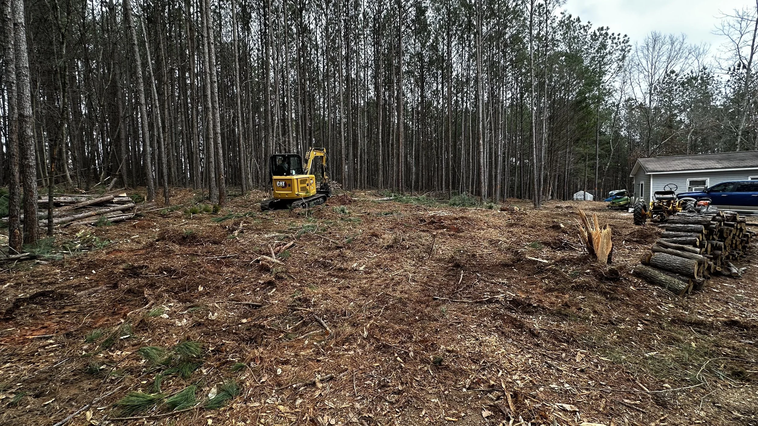 A cleared area in a forest with a small yellow construction vehicle, stacked logs on the right, and a house with trees in the background.