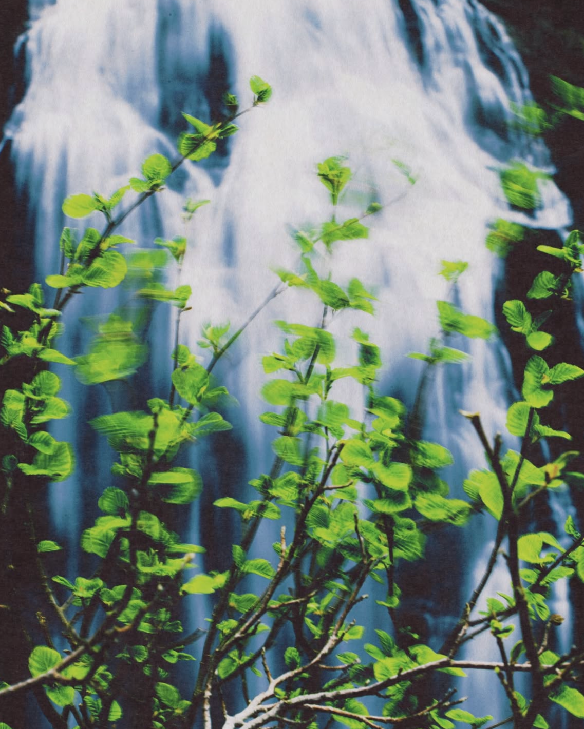 Patagonia