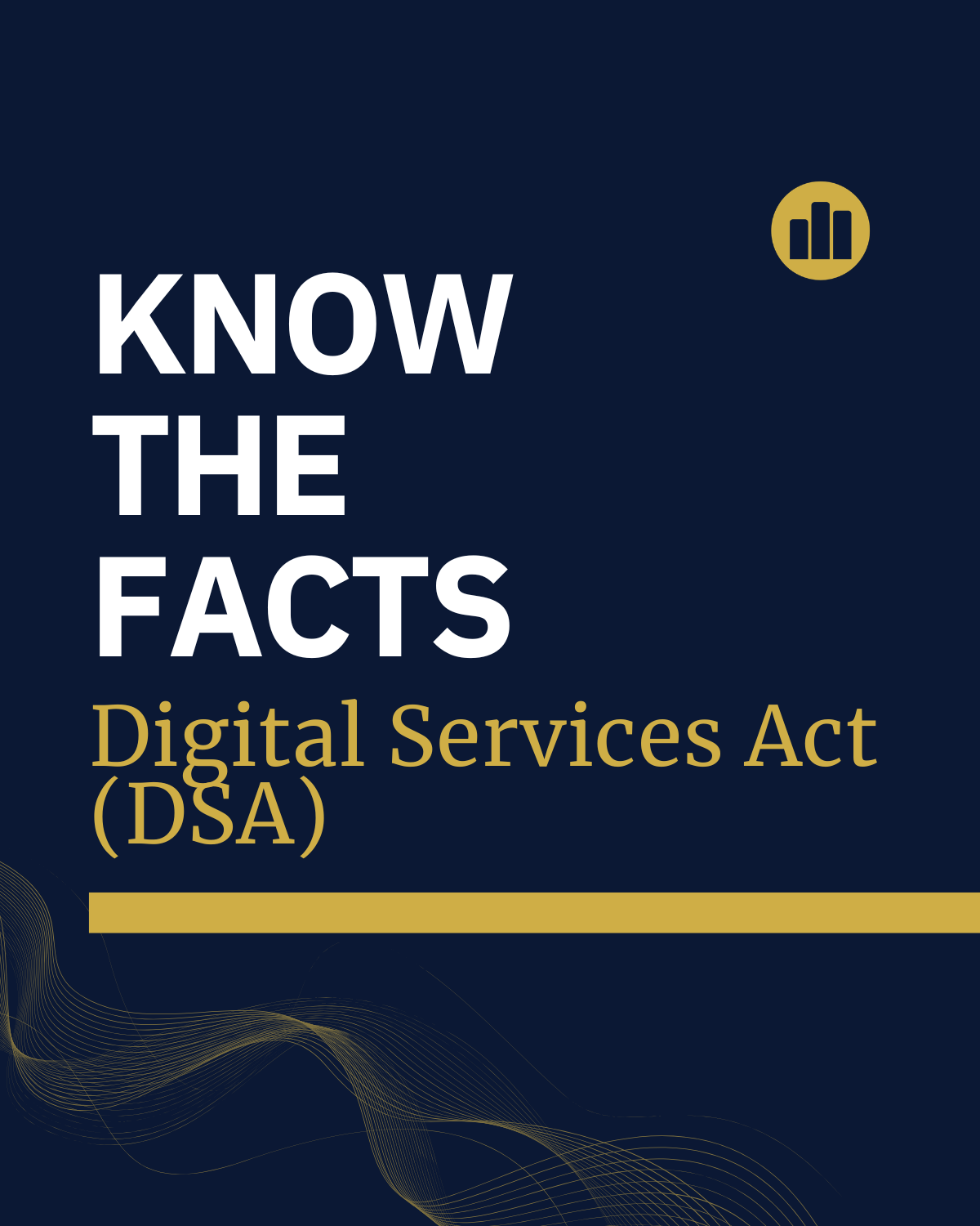 Know the Facts: Digital Services Act (DSA)