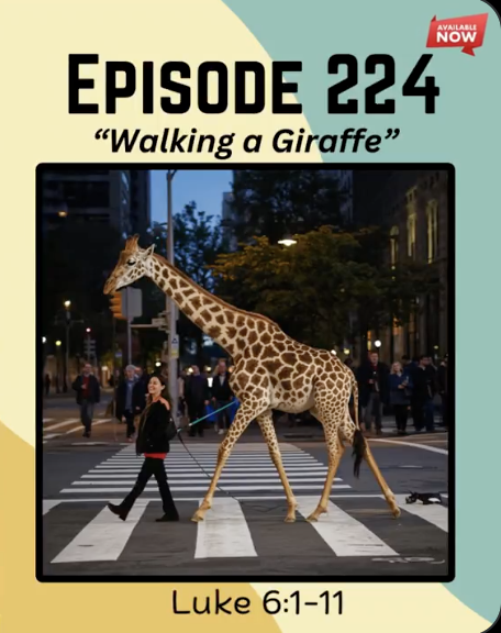 Episode 224 of Those Crazy Bible Study Guys with a picture of a Giraffe walking across a city street crosswalk with pedestrians and buildings in the background from the episode titled 'Walking a Giraffe' talking about crazy laws. Based on Luke 6:1-11