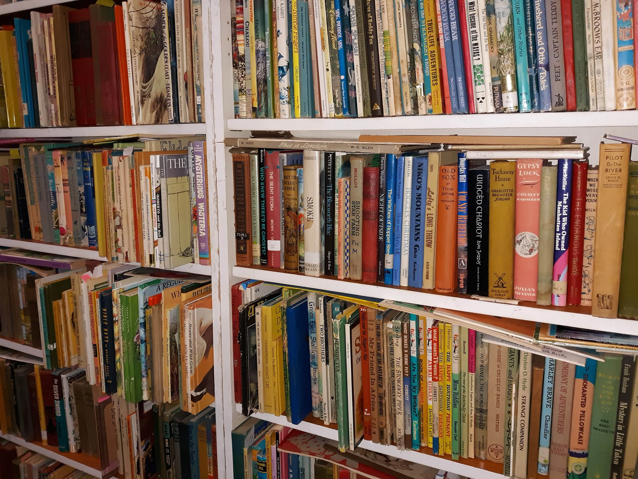 June: A Month for Reading and Hearing from Authors