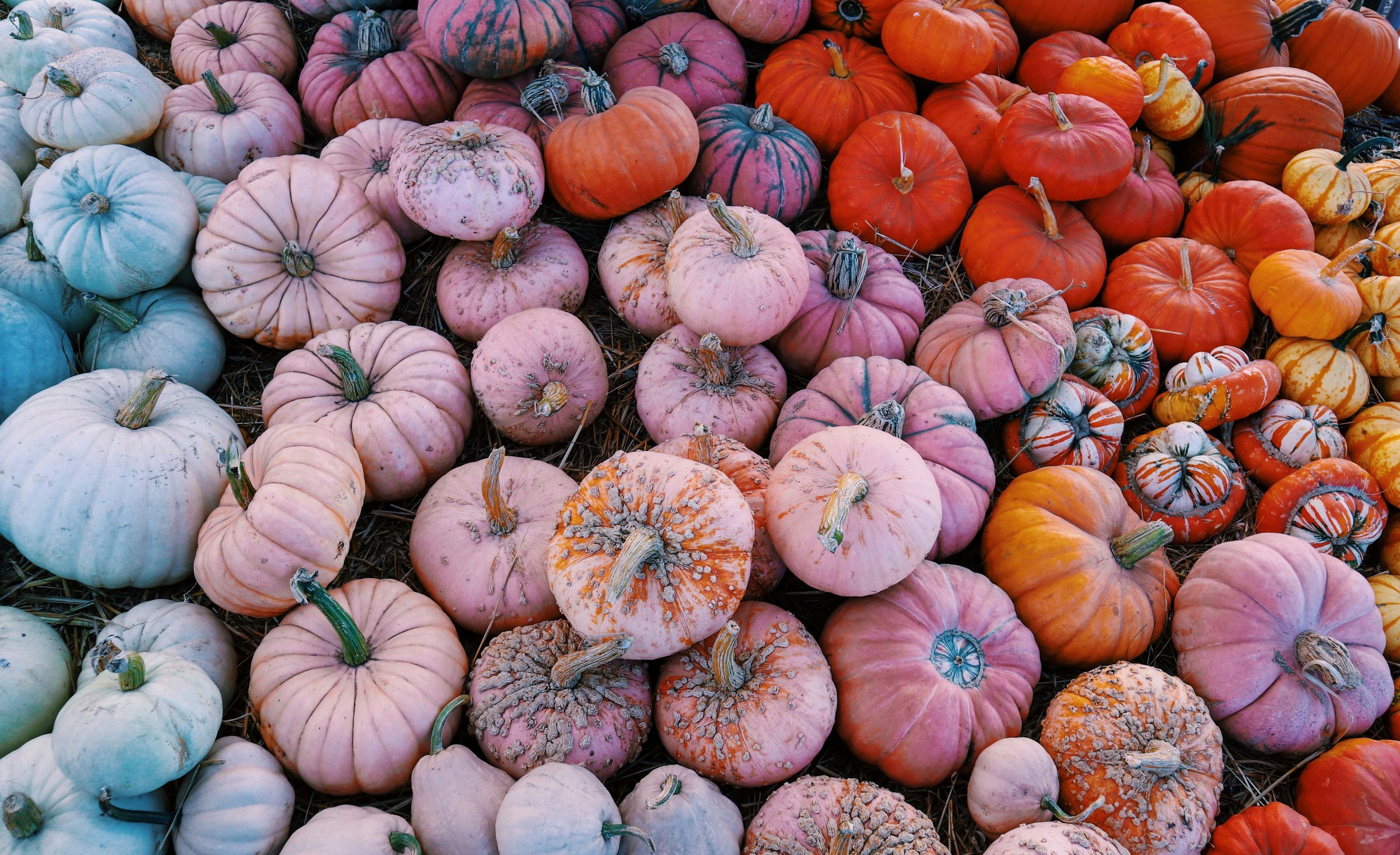 Welcome, October! 