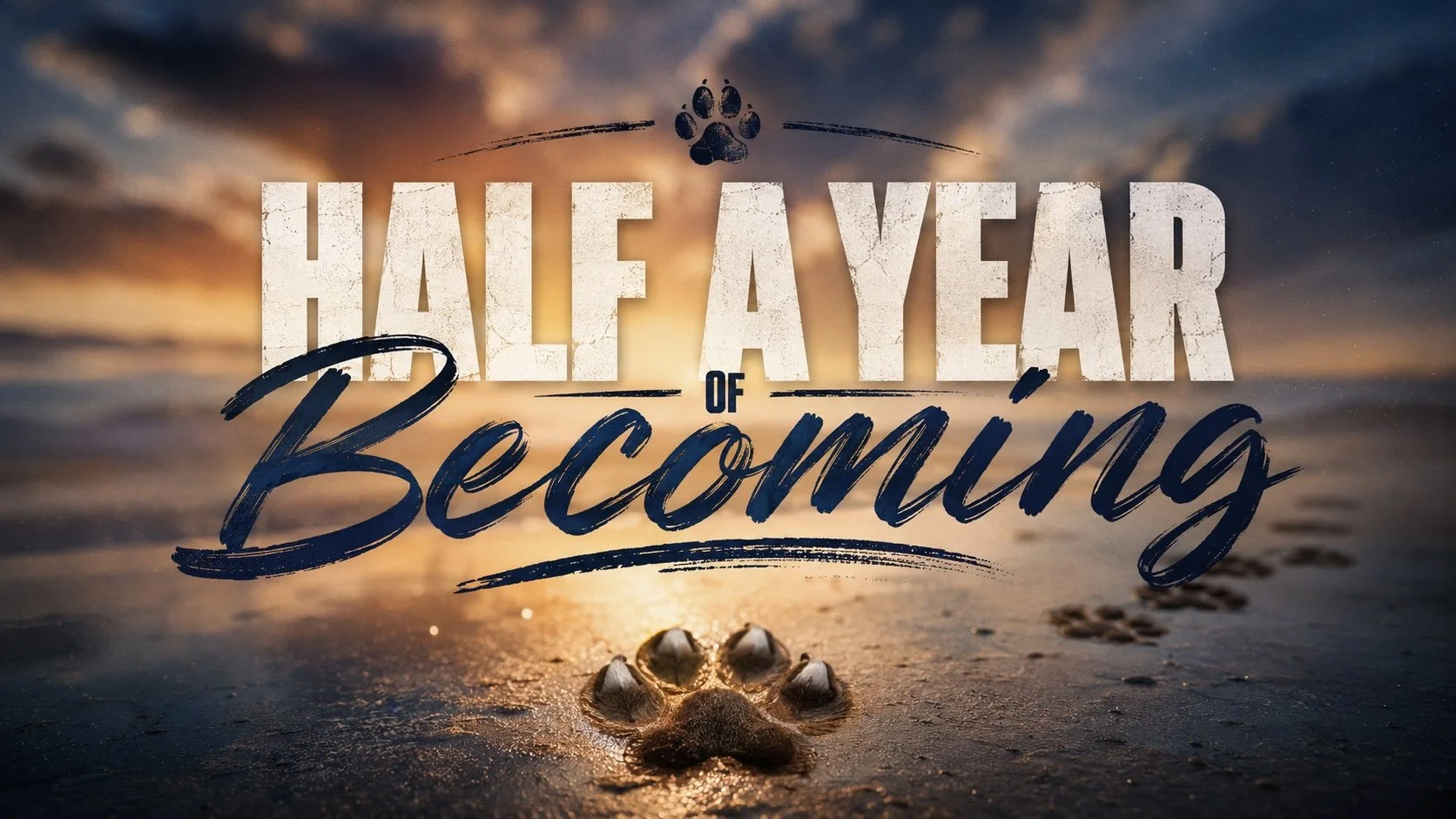 Half A Year of Becoming
