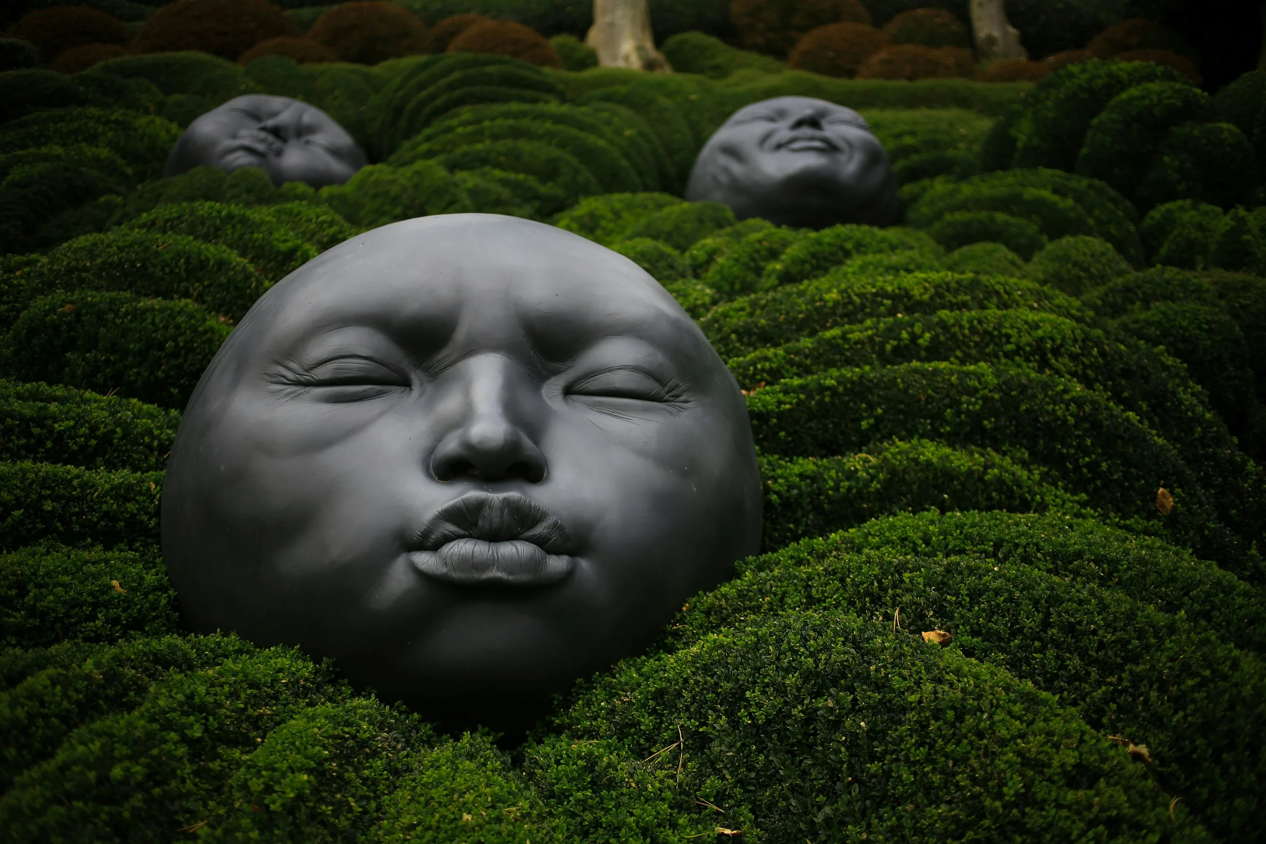 Multiple black sculptures of human faces with closed eyes, lying among green bushes in a garden.