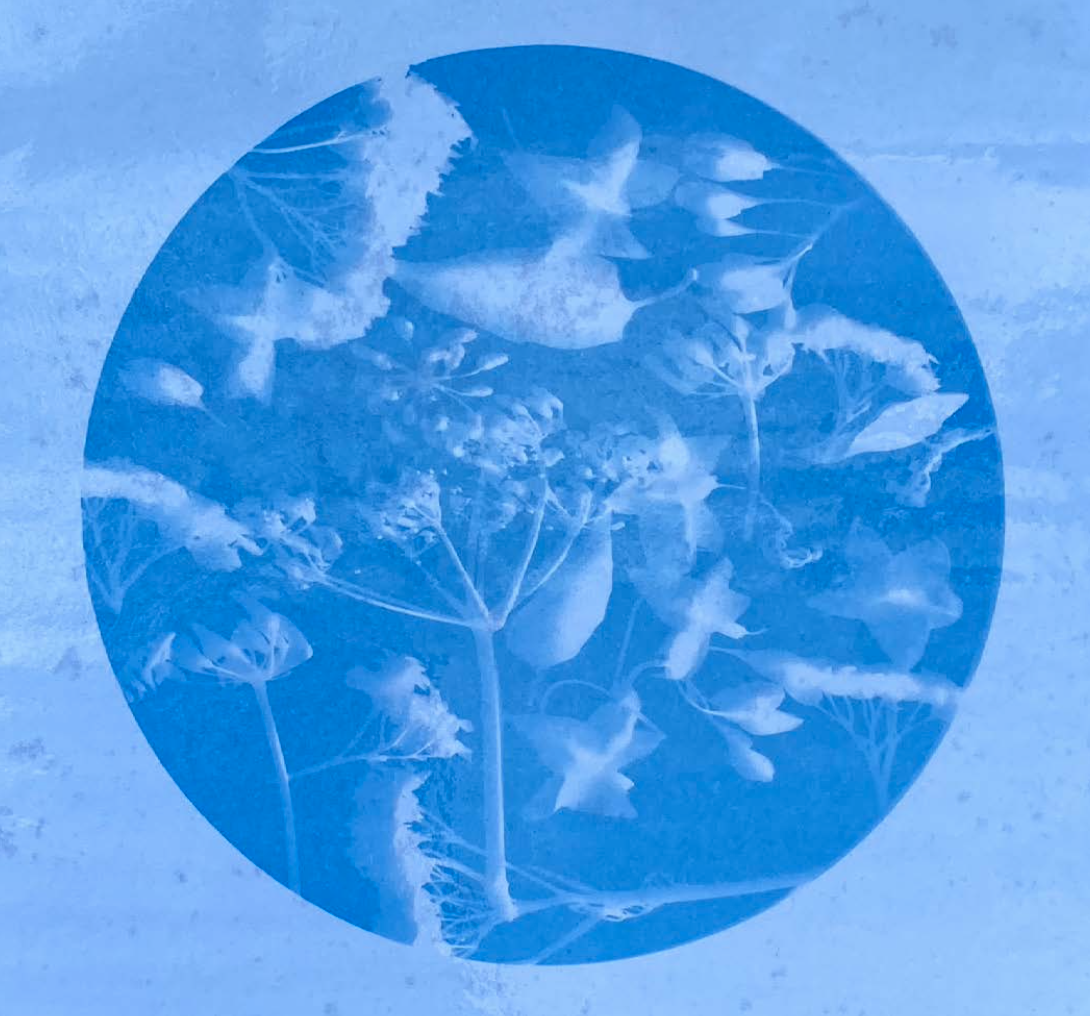 A blue circular area with a faint plant pattern inside, possibly a textured or stylized design.