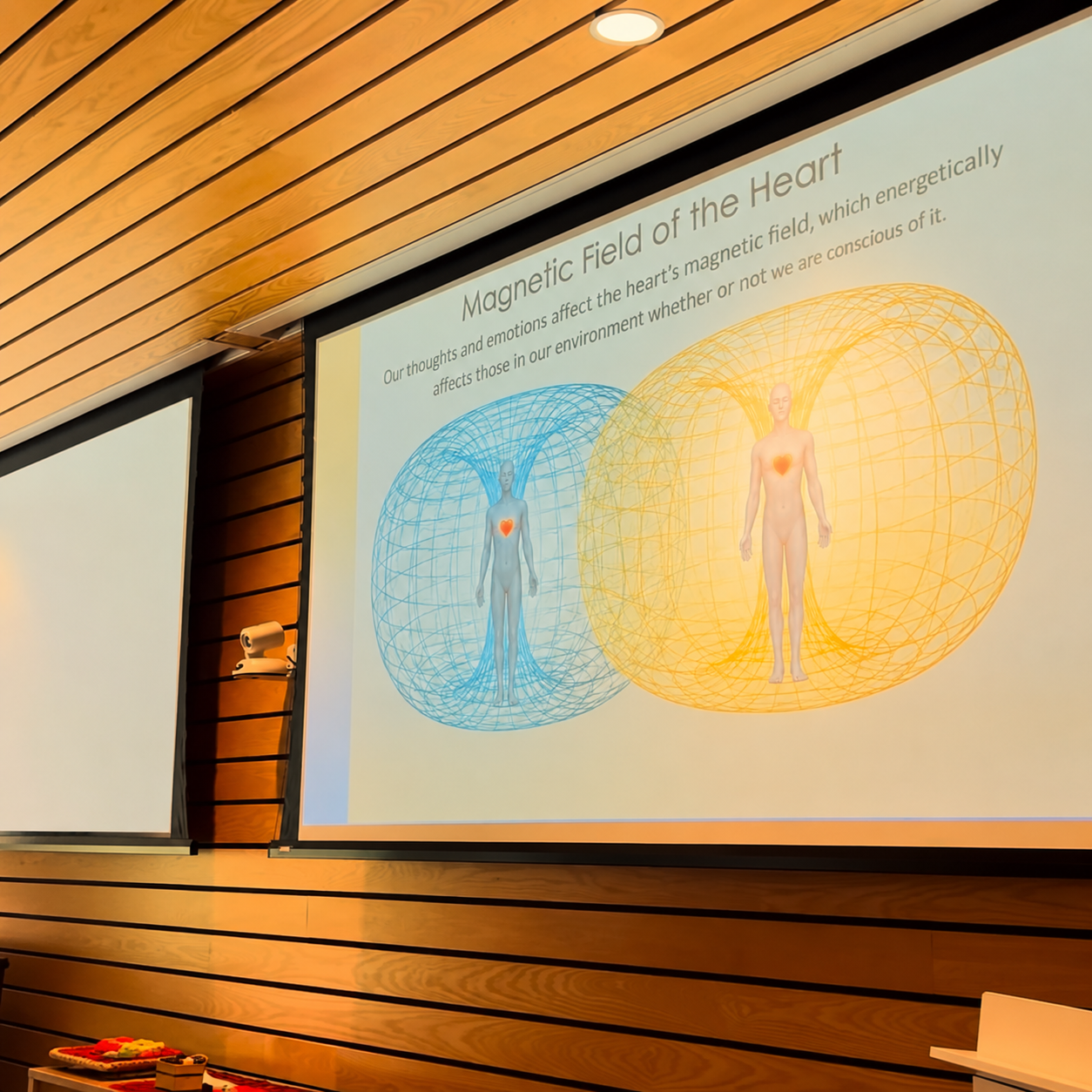Slide presenting the concept of the magnetic field of the heart, showing a human figure with a heart symbol and a visual representation of magnetic fields in blue and yellow surrounding the figure.