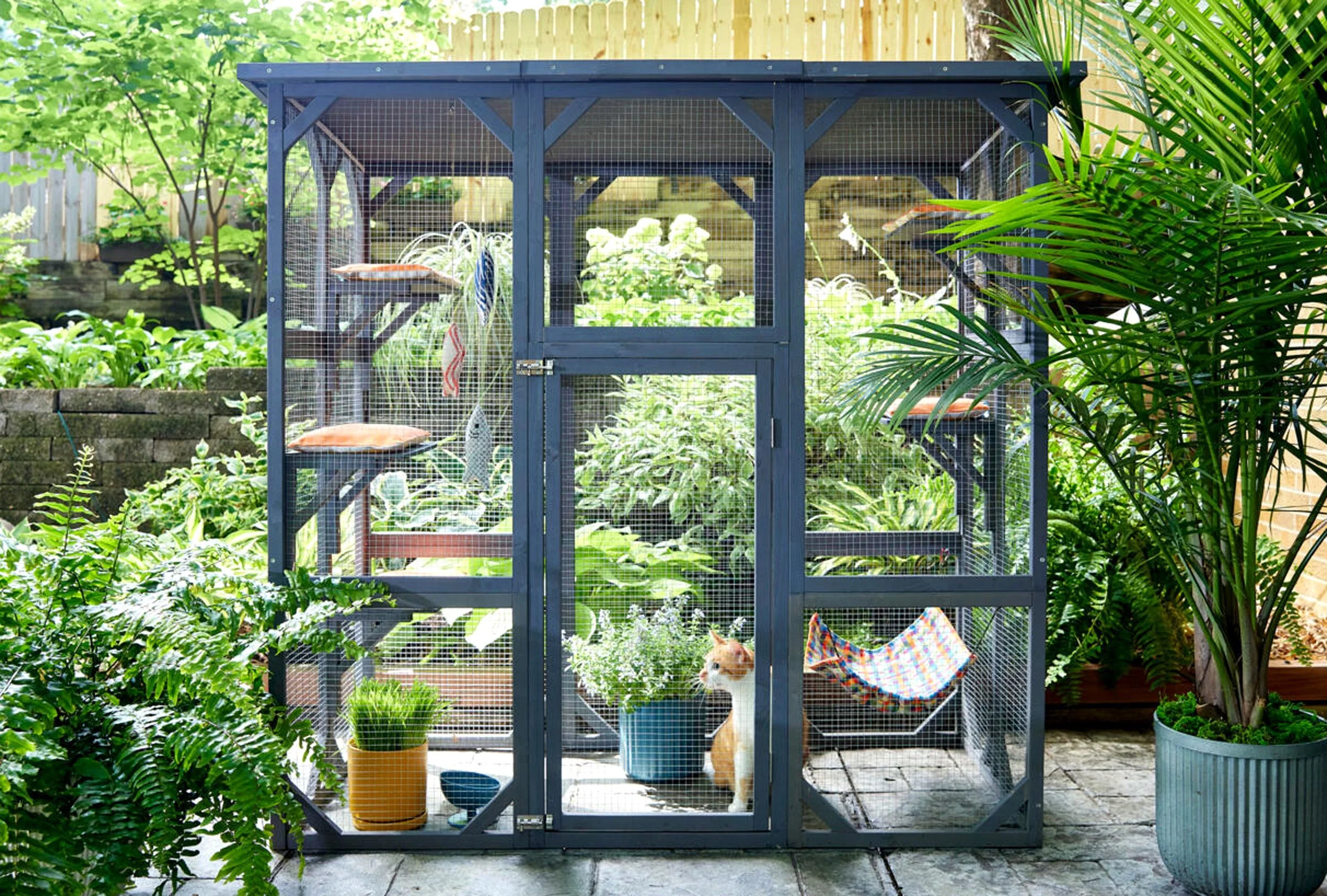 A blue multi-level catio with a cat inside, surrounded by lush green plants. Vital enrichment for cats.