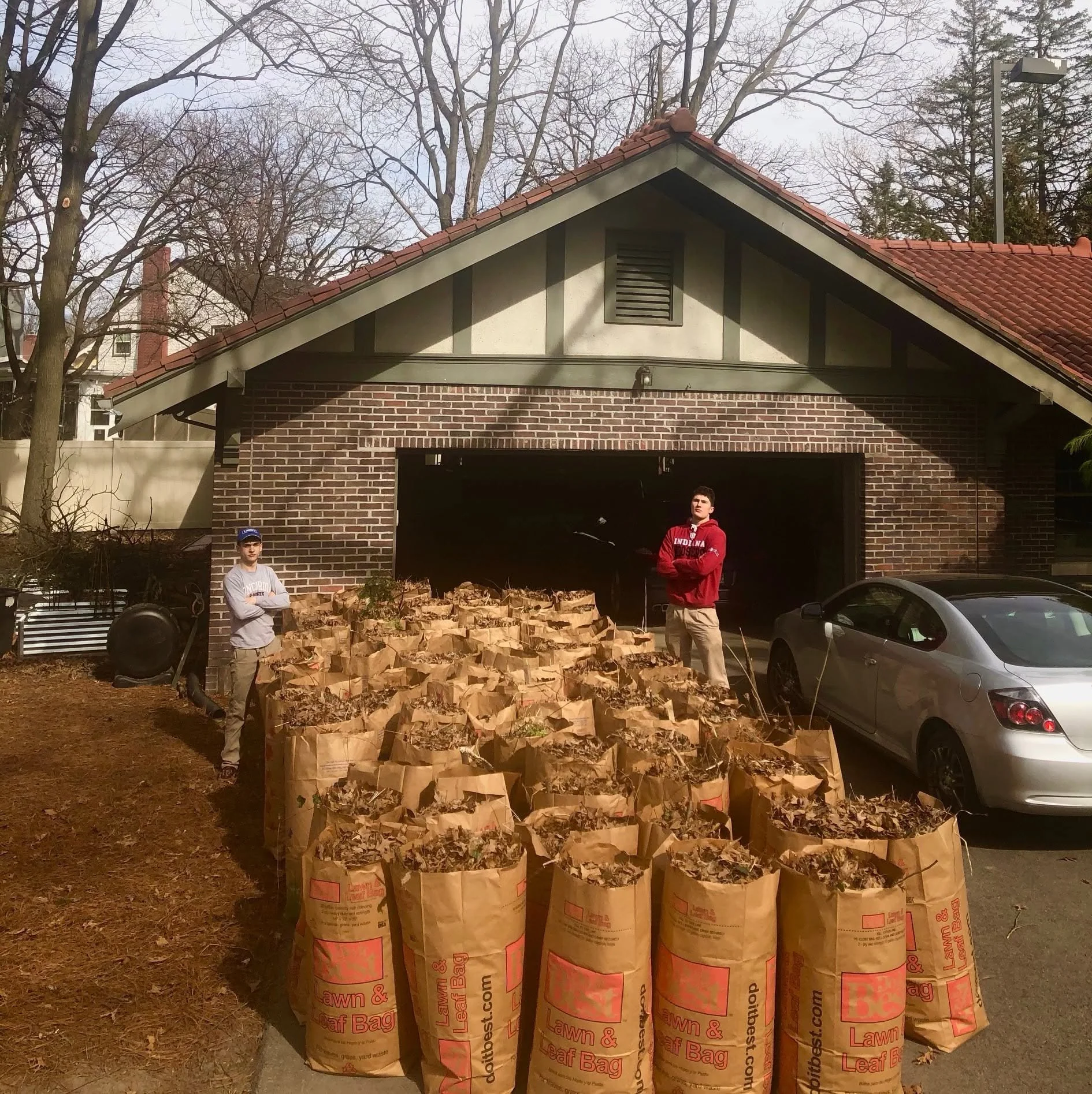 85 leaf bags.jpg