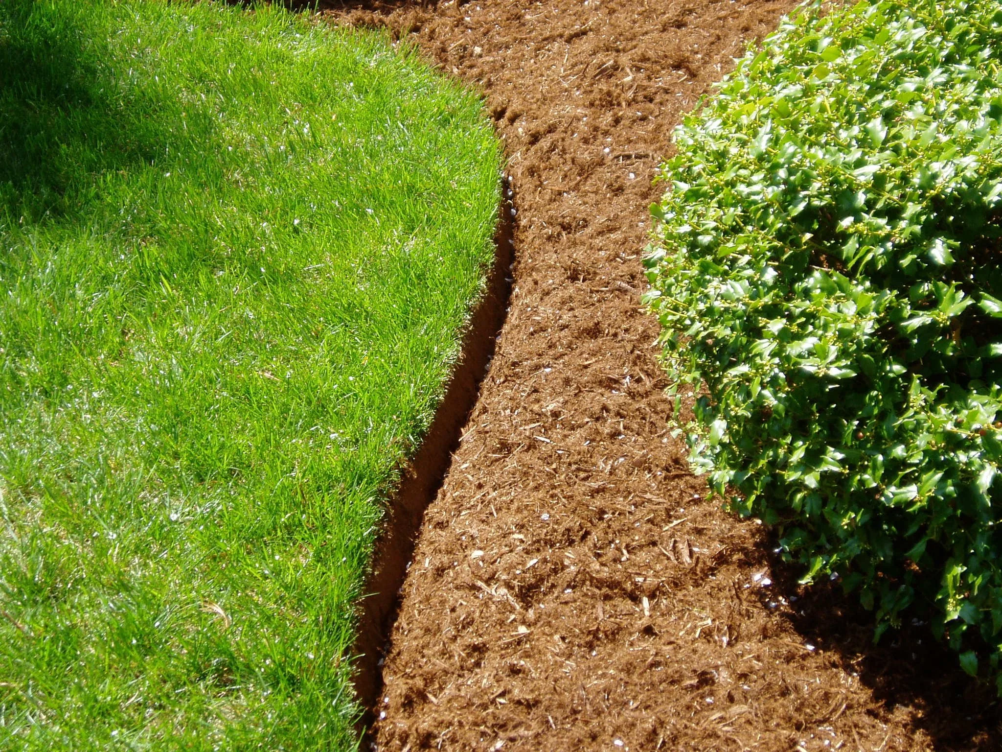 landscape-edgings.jpg