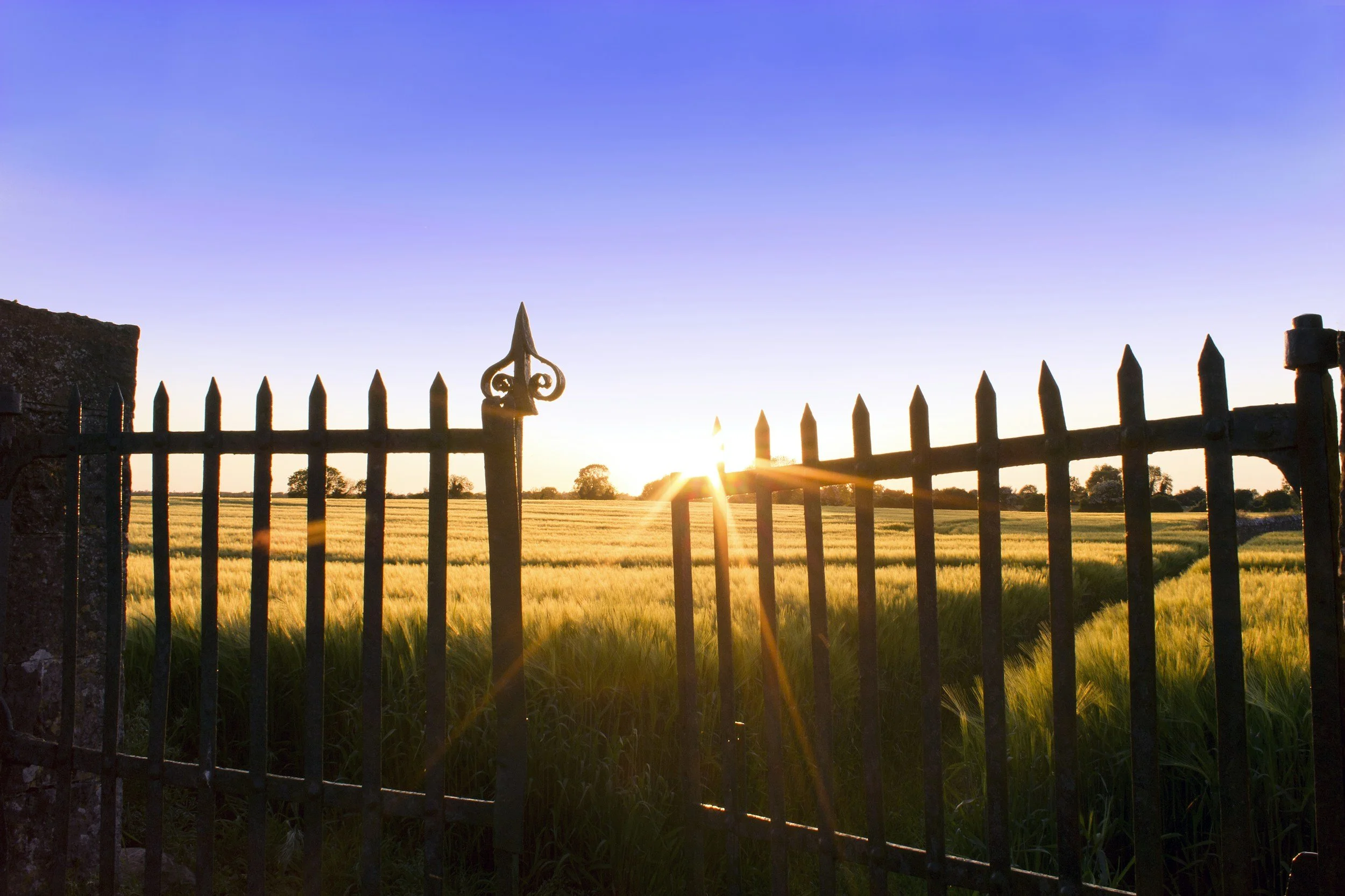 A black iron fence with pointed tips and decorative scrolls, set in front of a grassy field. The sun is low on the horizon, casting a warm glow and lens flare, with a clear blue sky overhead.