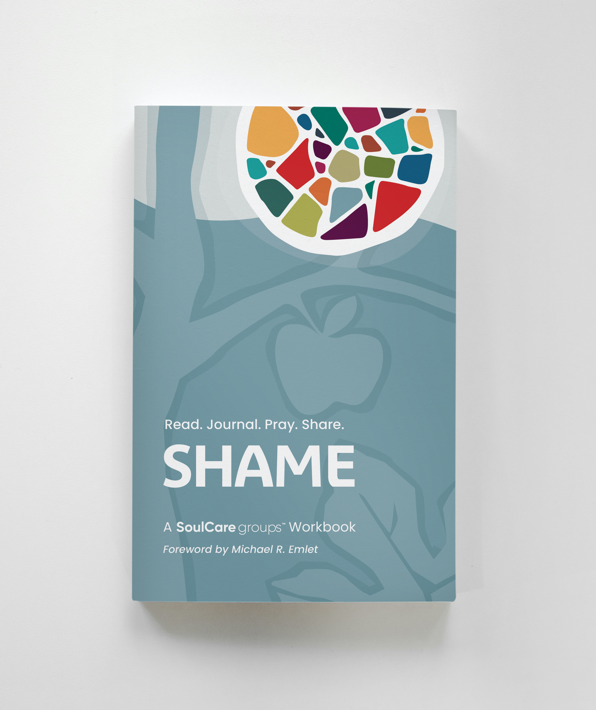 Book titled 'Shame: A SoulCare groups Workbook' with the subtitle 'Read. Journal. Pray. Share.' and a foreword by Michael R. Emlet, featuring a multicolored abstract heart shape on the cover.
