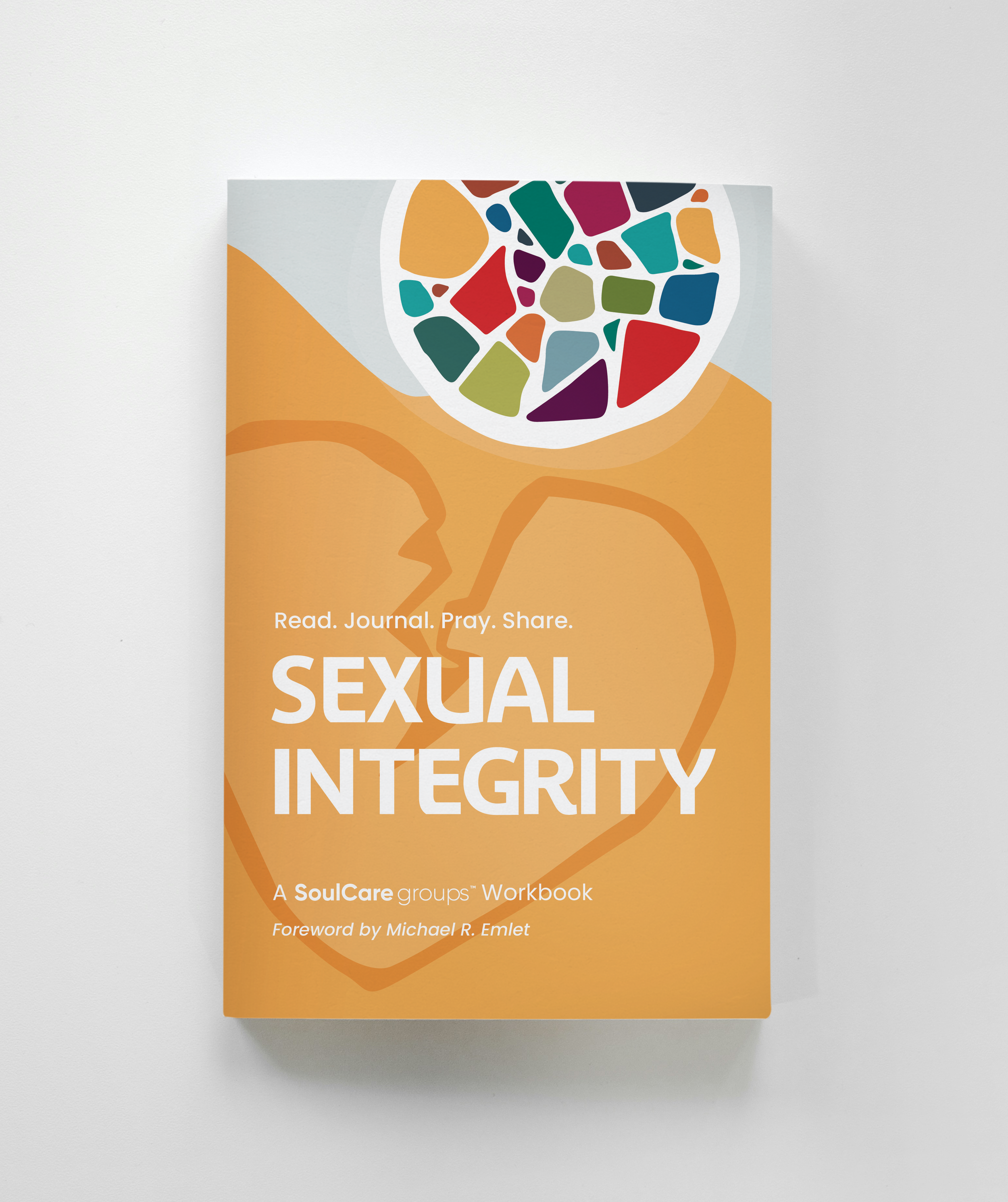 Cover of a workbook titled 'Sexual Integrity' by SoulCare groups, with a stylized image of a human head and a colorful mosaic brain.