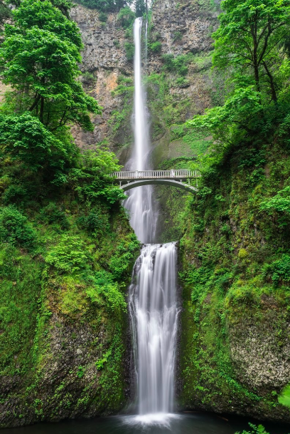 A tall waterfall flowing down a mossy cliff surrounded by lush green trees, with a bridge crossing the waterfall.