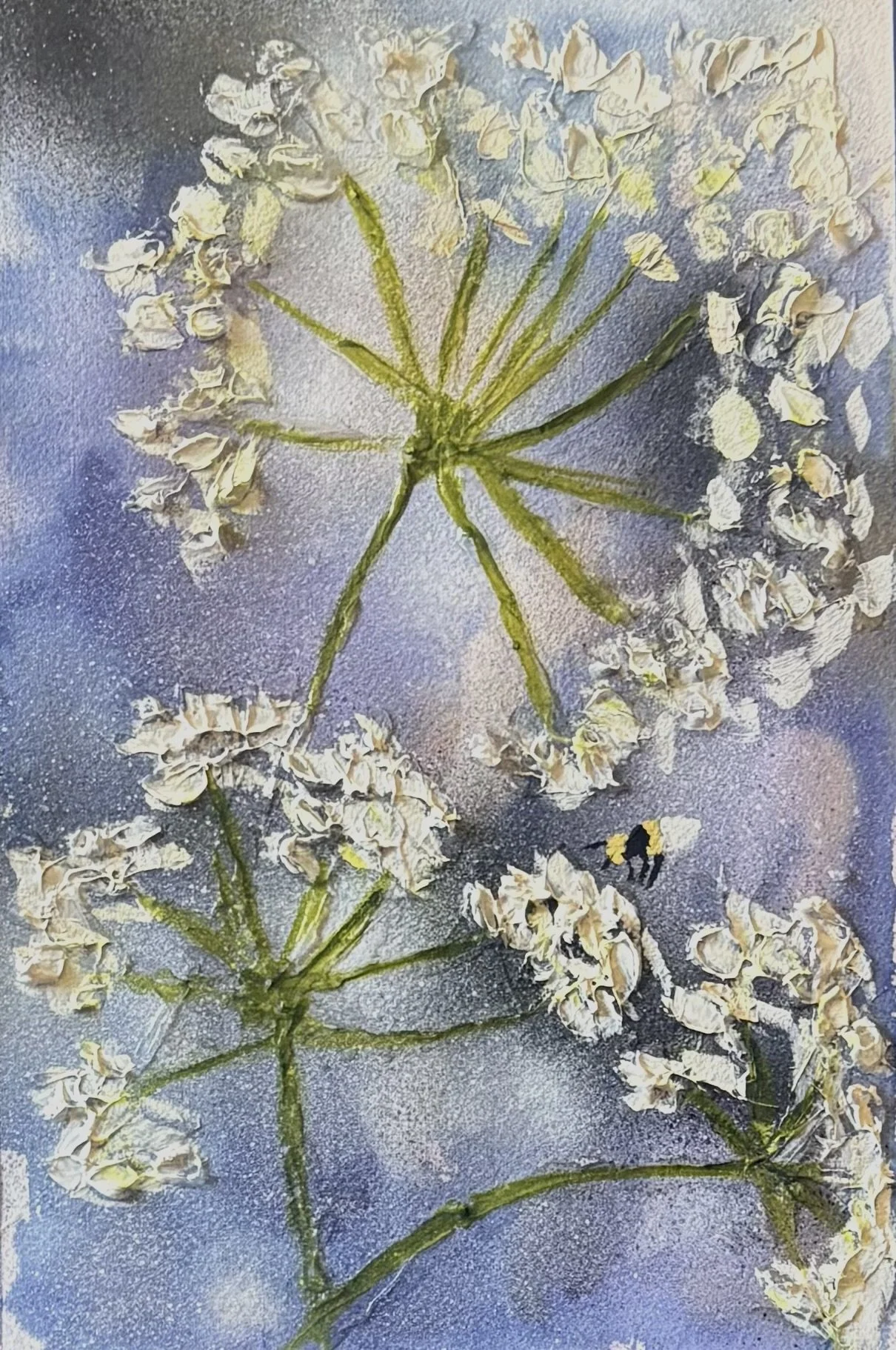 Close-up of white flowers, possibly queen anne's lace, on a frosted or icy window with water droplets and frost patterns.
