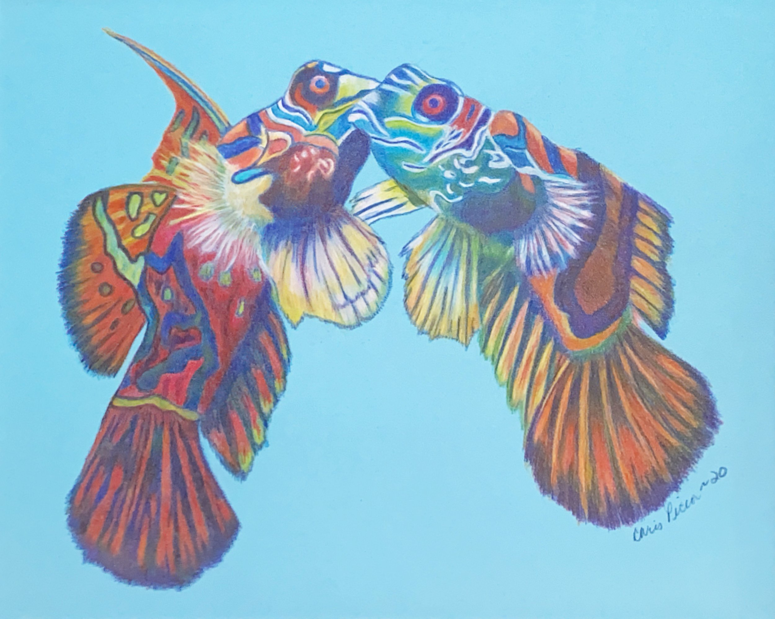 'Mandarin Tango'  Prints