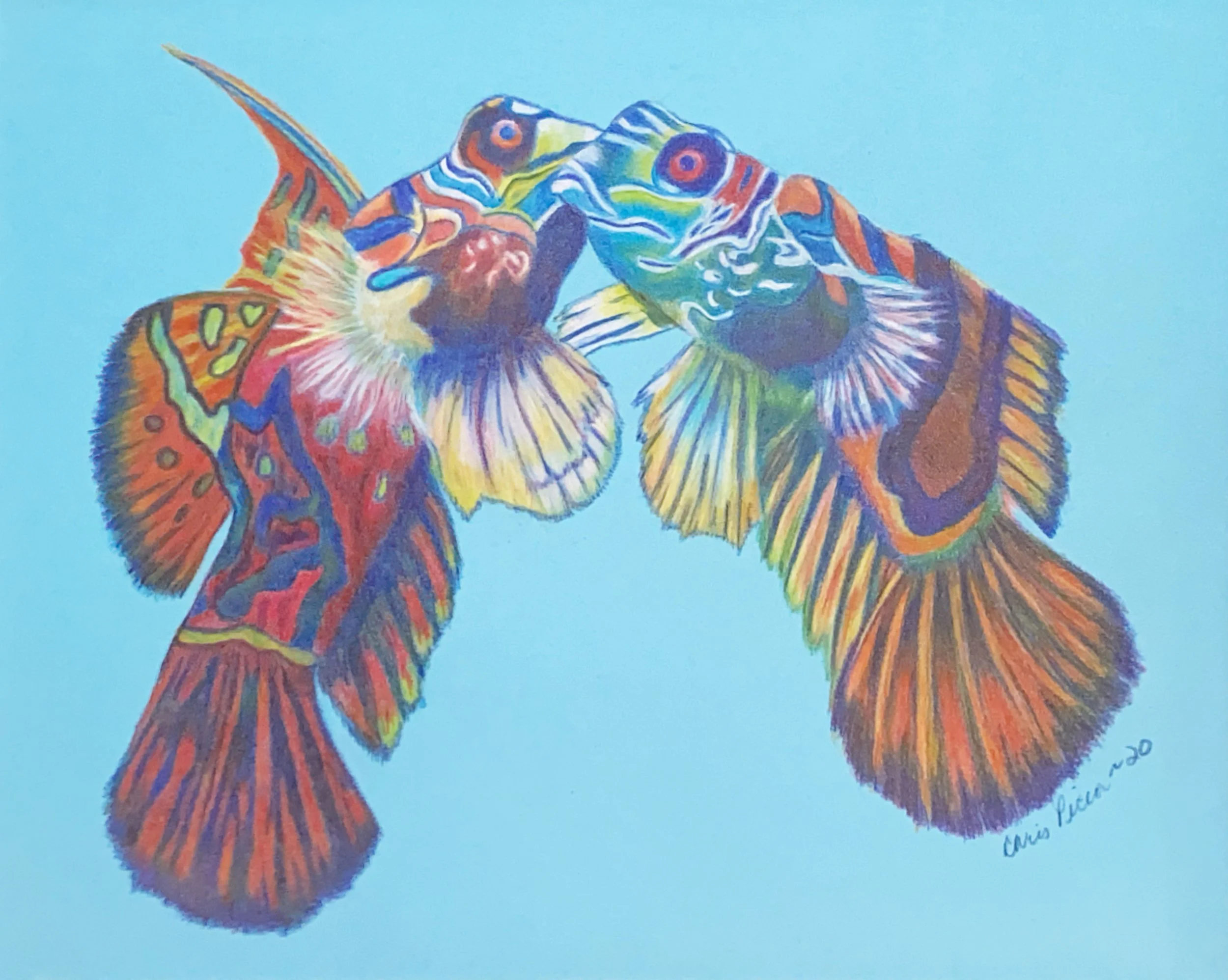 Colorful drawing of two fish with intricate patterns and vibrant colors on a blue background.