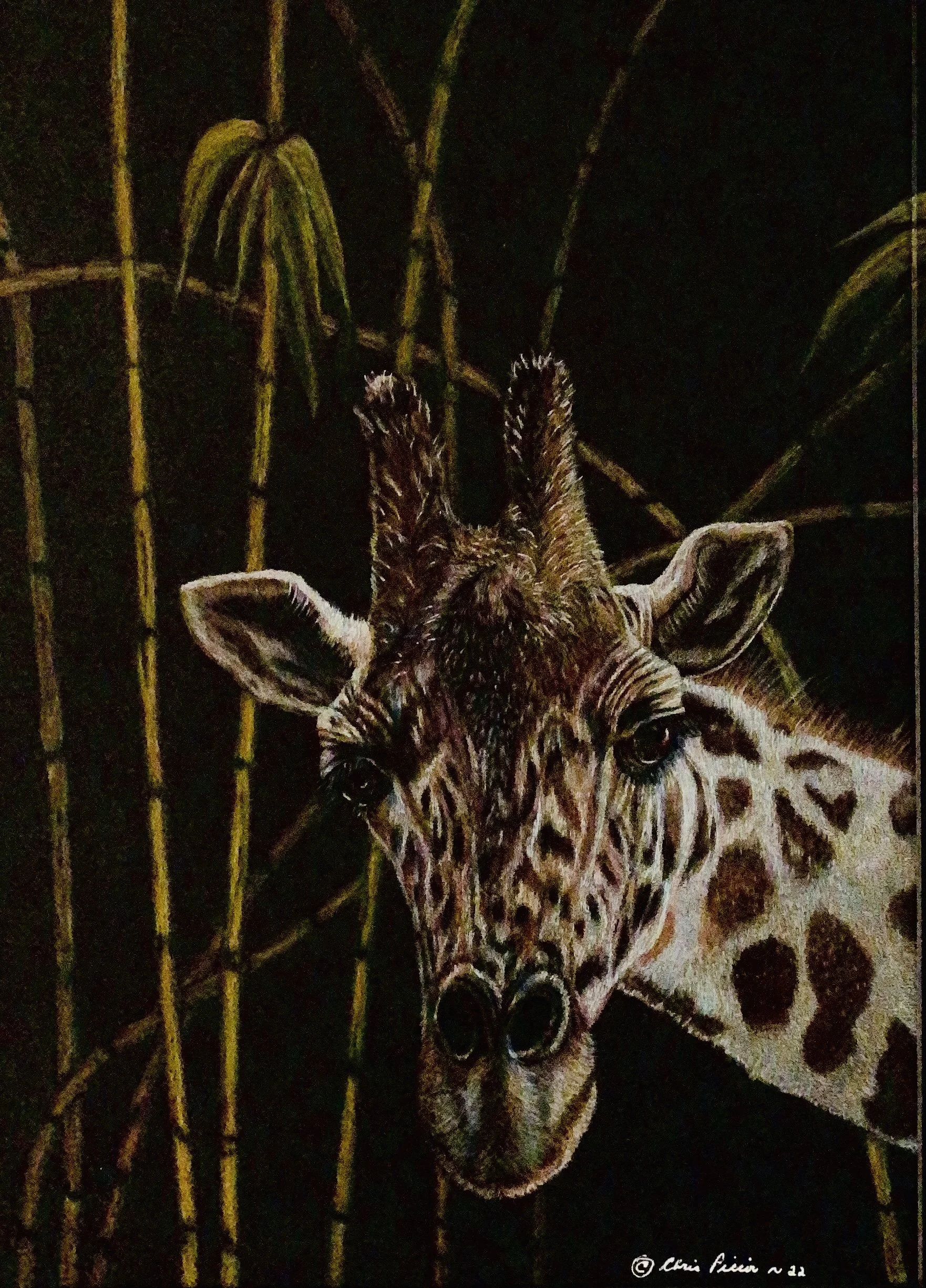 A drawing of a giraffe looking through a window, taken from a friend’s picture while they were eating breakfast on safari.  