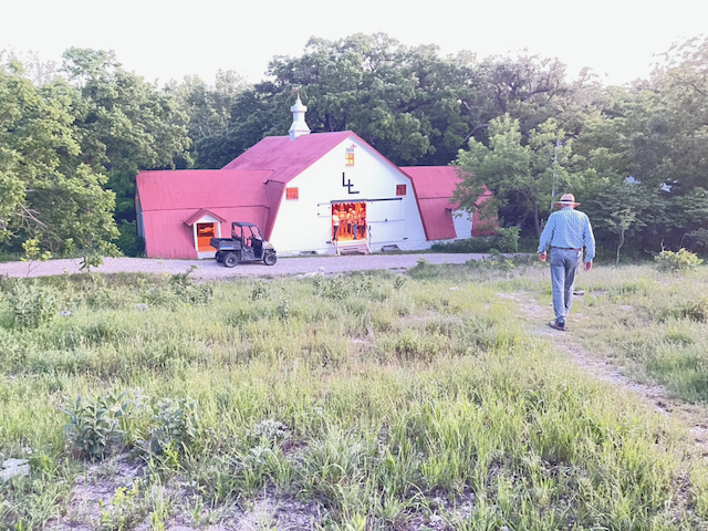 A man walking on a dirt path towards a small white barn with a red roof, surrounded by greenery, with a golf cart parked nearby.