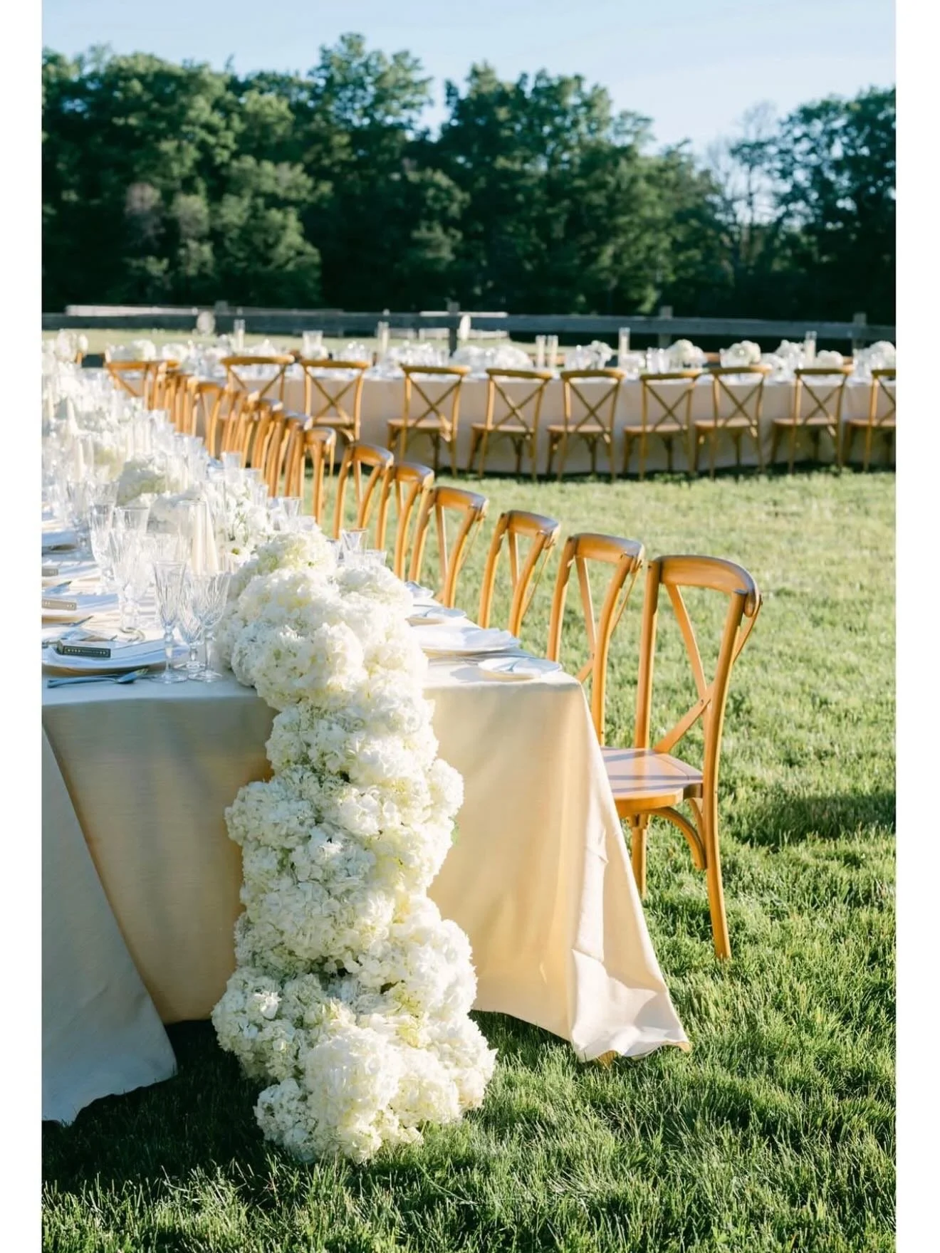 Outdoor wedding reception setup with a long dining table decorated with white floral arrangements, surrounded by wooden chairs on a grassy area, with trees in the background.