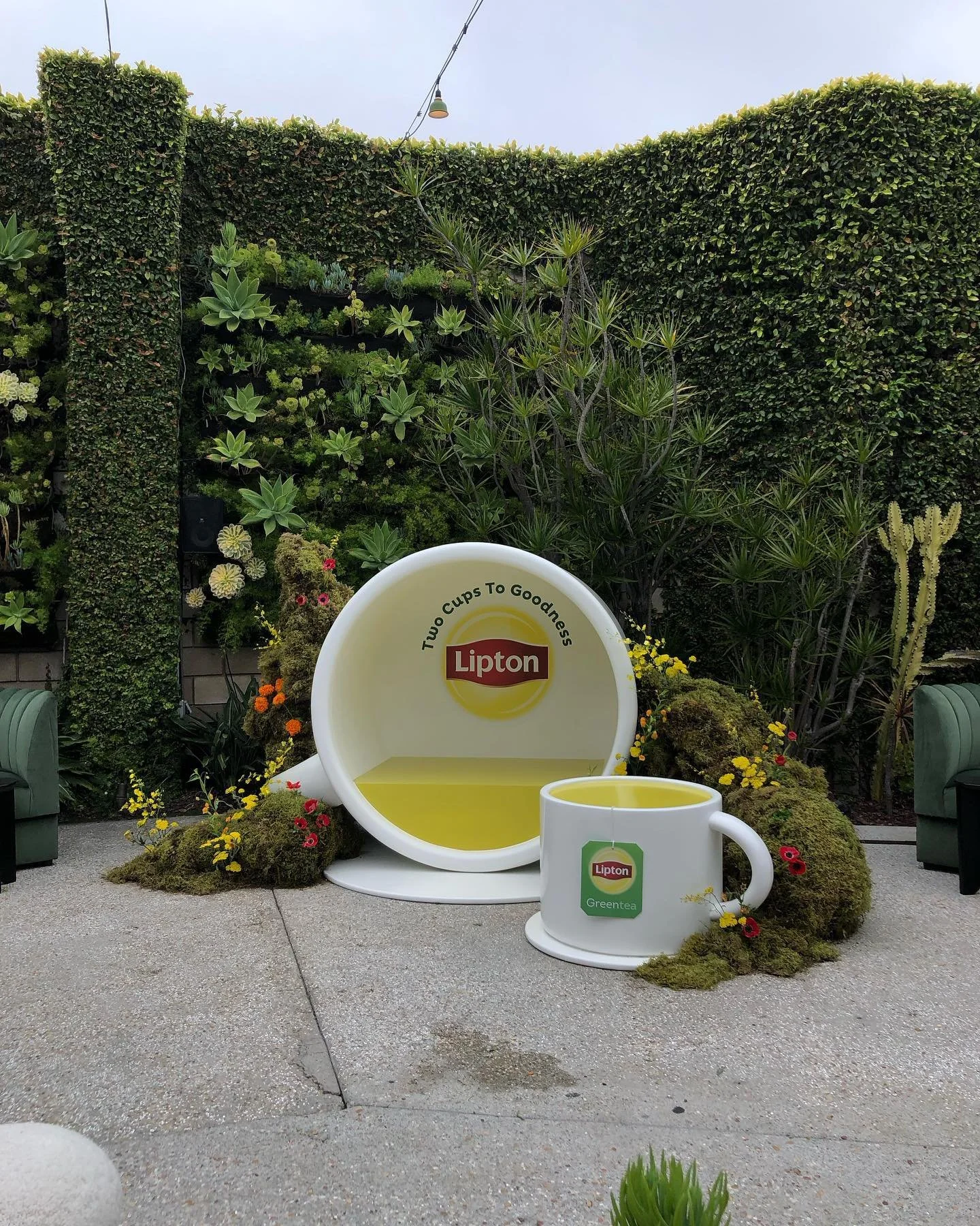 Outdoor decorative display featuring giant Lipton tea cup and mug with plant accents and greenery, set on a paved surface with a lush hedge background.