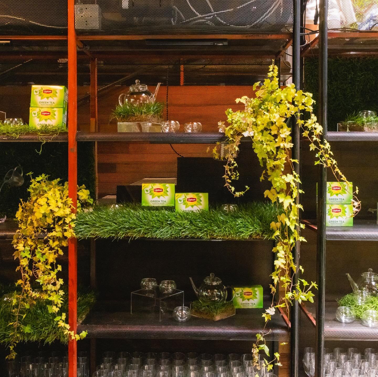 Shelves with green tea boxes, glass teapots, glass cups, and decorative yellow and green plants.