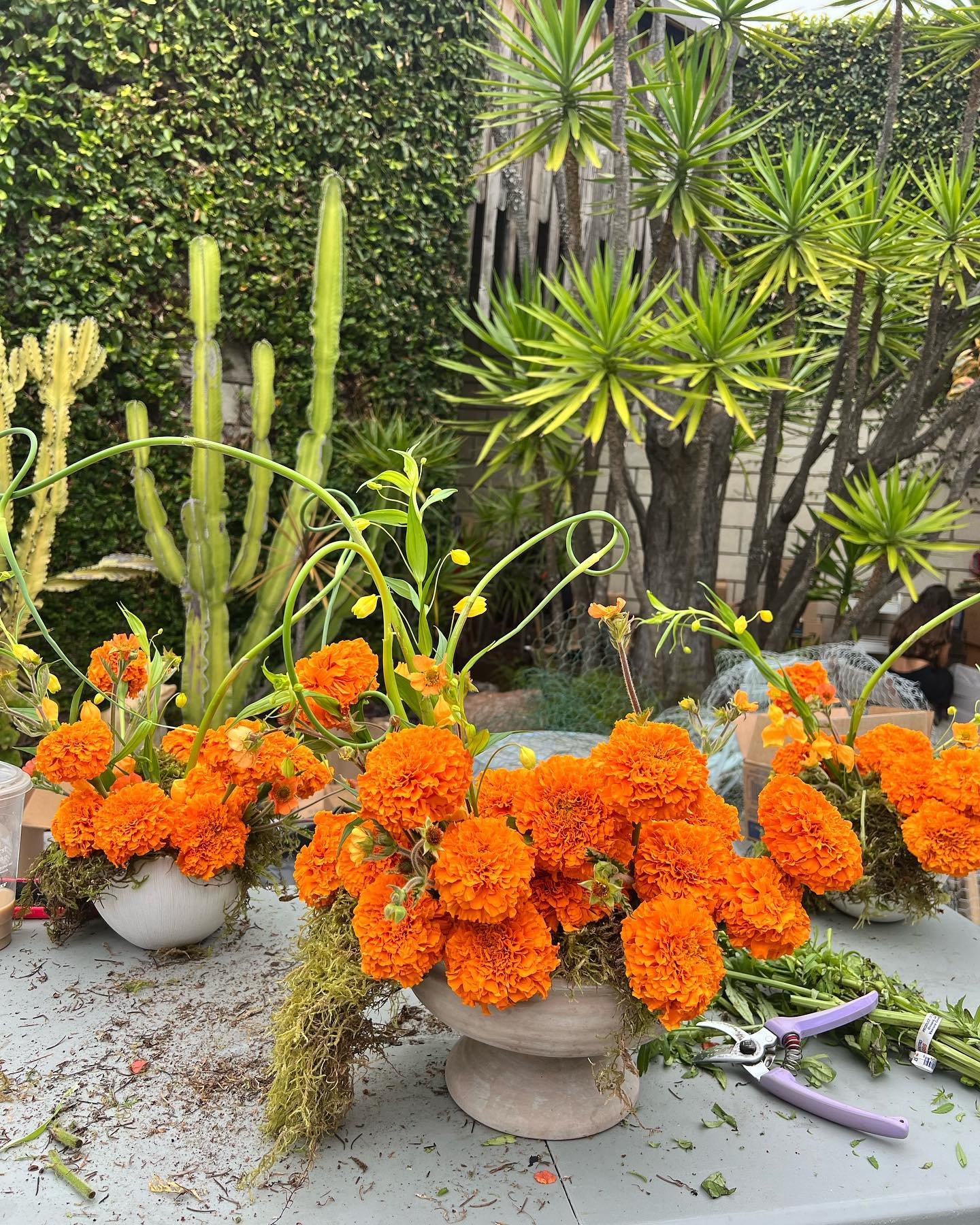 A garden scene with a table of bright orange marigold flowers in white pots, various green plants including tall cacti and leafy shrubs in the background, gardening tools on the table, and a weathered wooden fence behind the greenery.