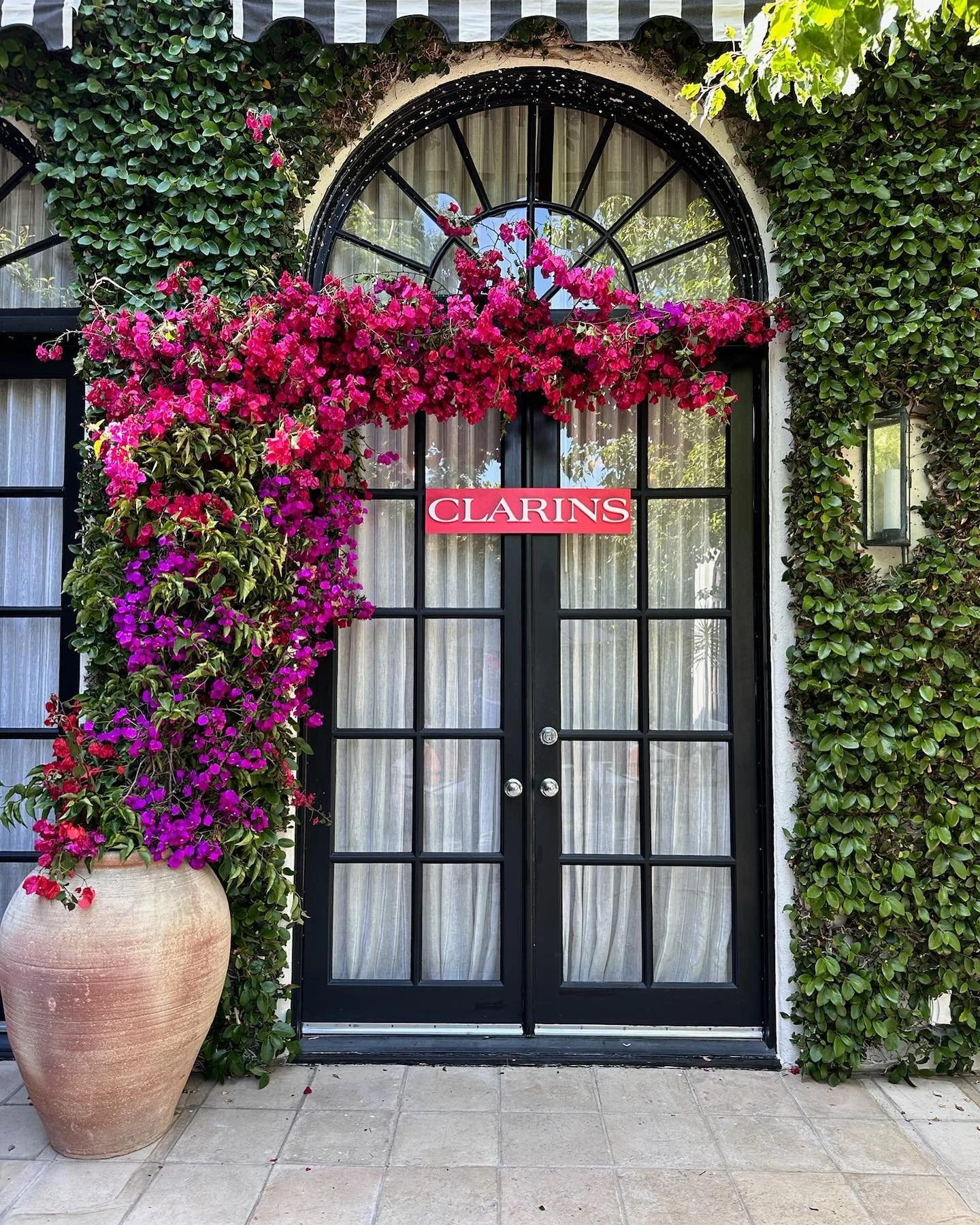 A black double door with glass panes, surrounded by climbing green vines and pink flowering bougainvillea, with a large pot of bougainvillea on the left and a small outdoor light on the right, and a red "Clarins" sign on the door.