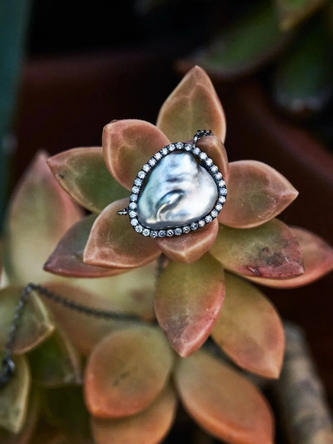 A succulent plant with reddish-brown leaves, topped with a teardrop-shaped pendant necklace featuring a large pearl or shell surrounded by small sparkling stones.