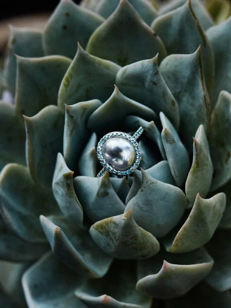A pearl and diamond ring resting inside a green succulent plant.