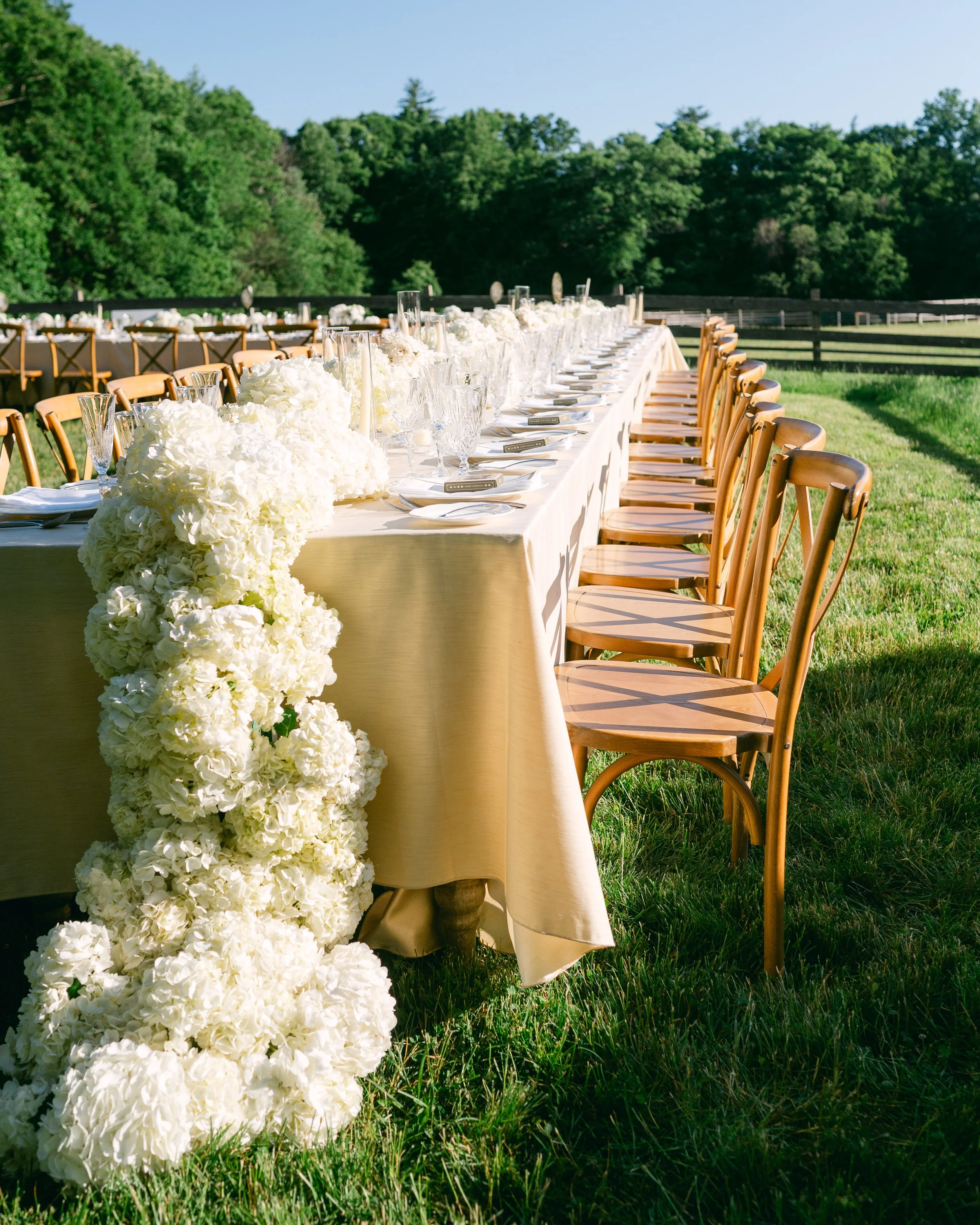 Long outdoor banquet table decorated with white flowers, glassware, and plates, set in a grassy area with trees and a clear blue sky.