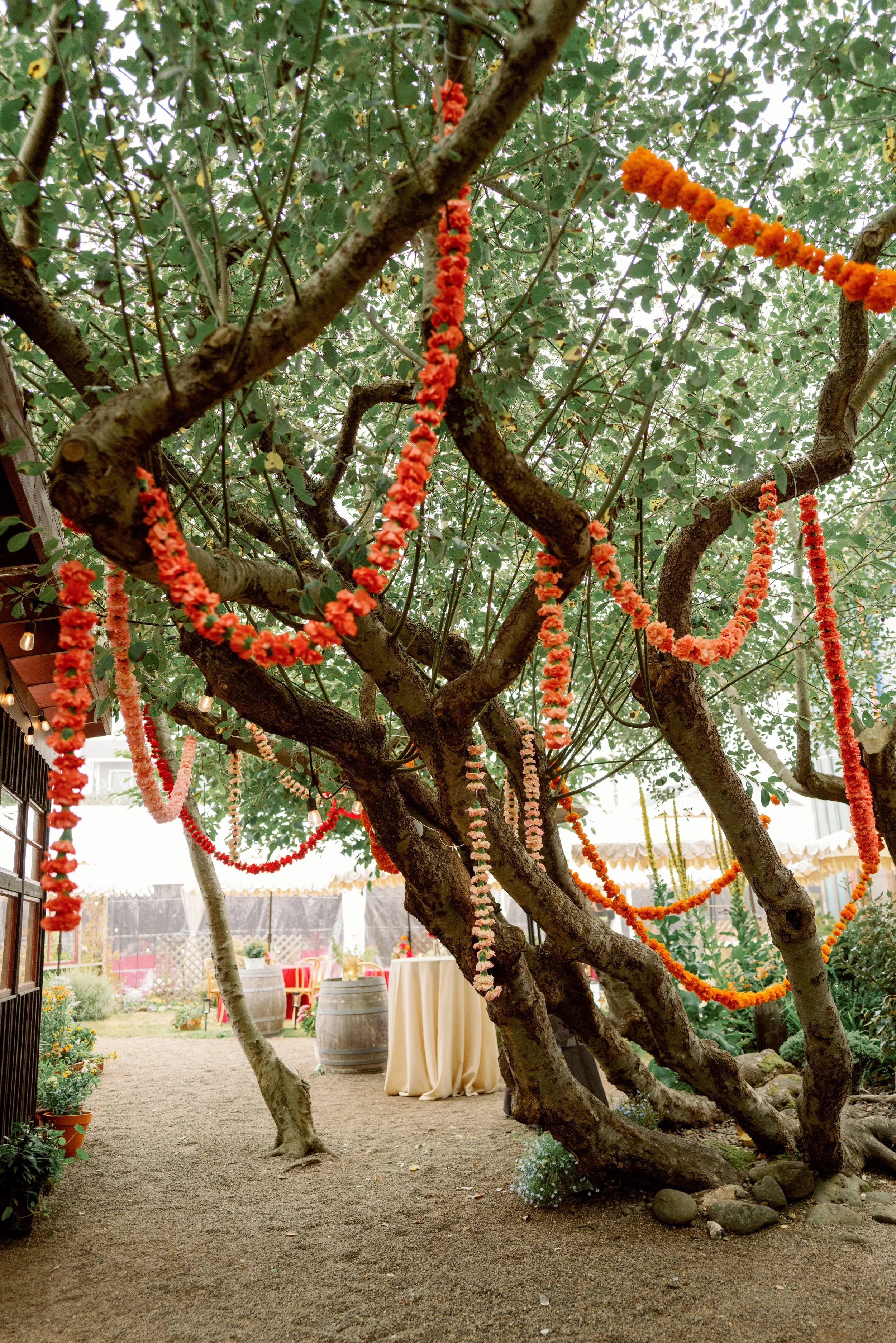 Decorated outdoor area with a large tree adorned with orange and pink garlands, a table with a cream-colored tablecloth, and string lights hanging overhead, set up for a celebration or event.