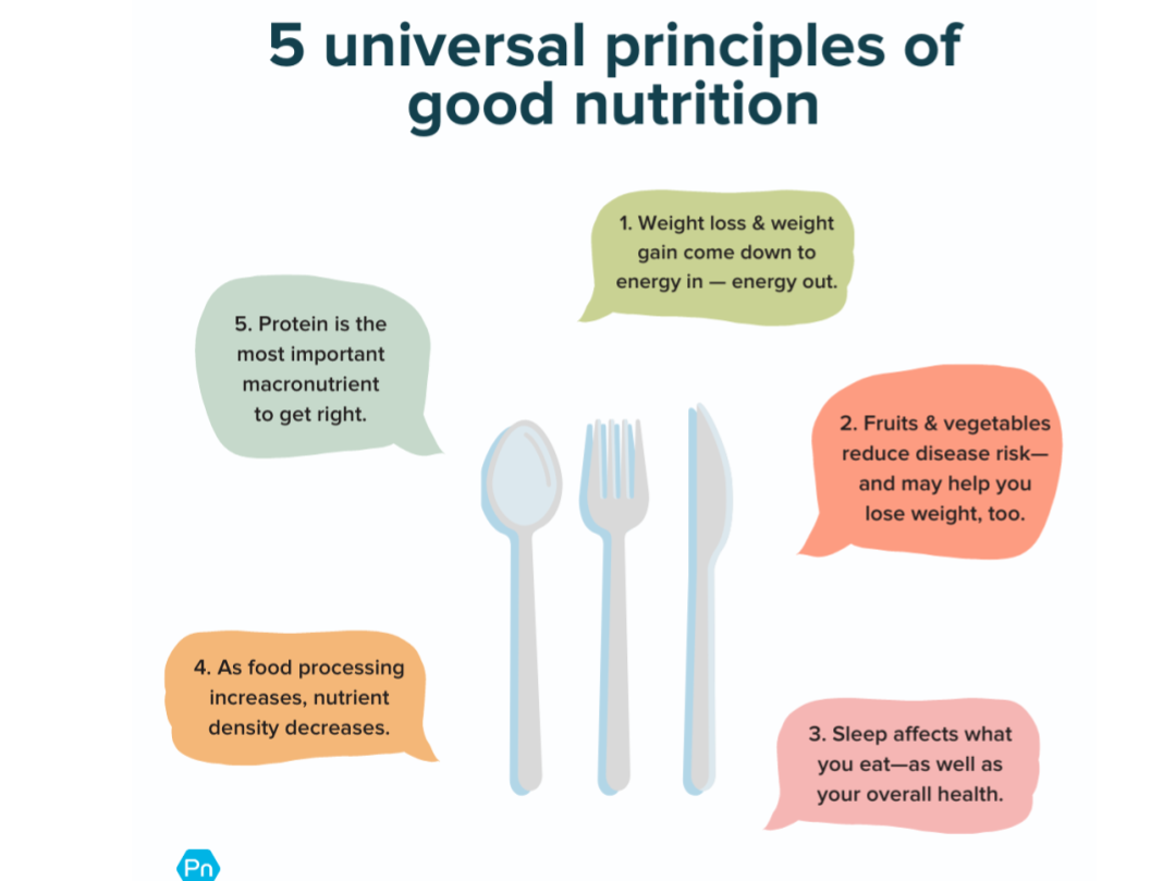 Best Diet vs. Good Nutrition: Which One Actually Works?