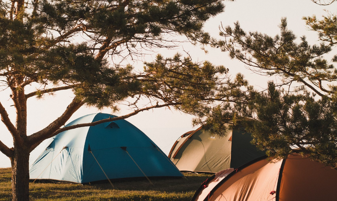 Camping-1.png